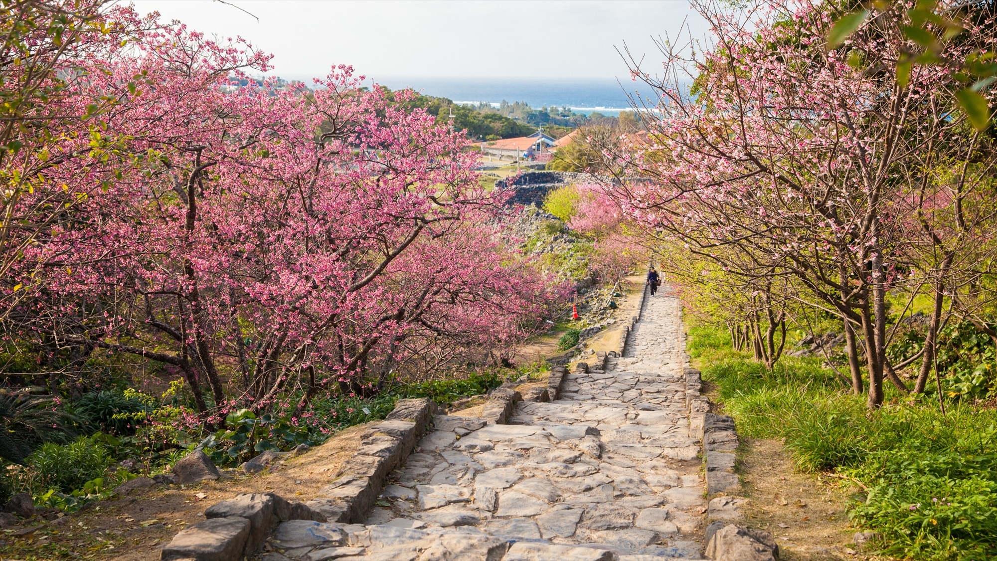 25 phút đến Di tích Lâu đài Nakijin