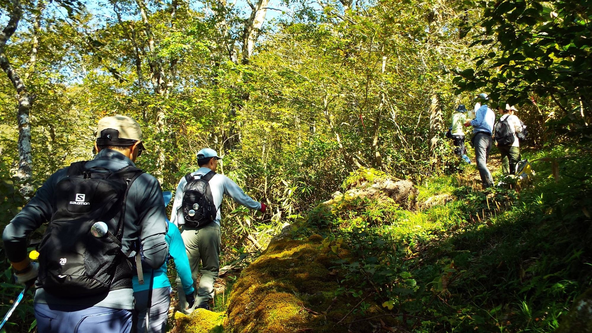 “羽岳”花立峠登山口