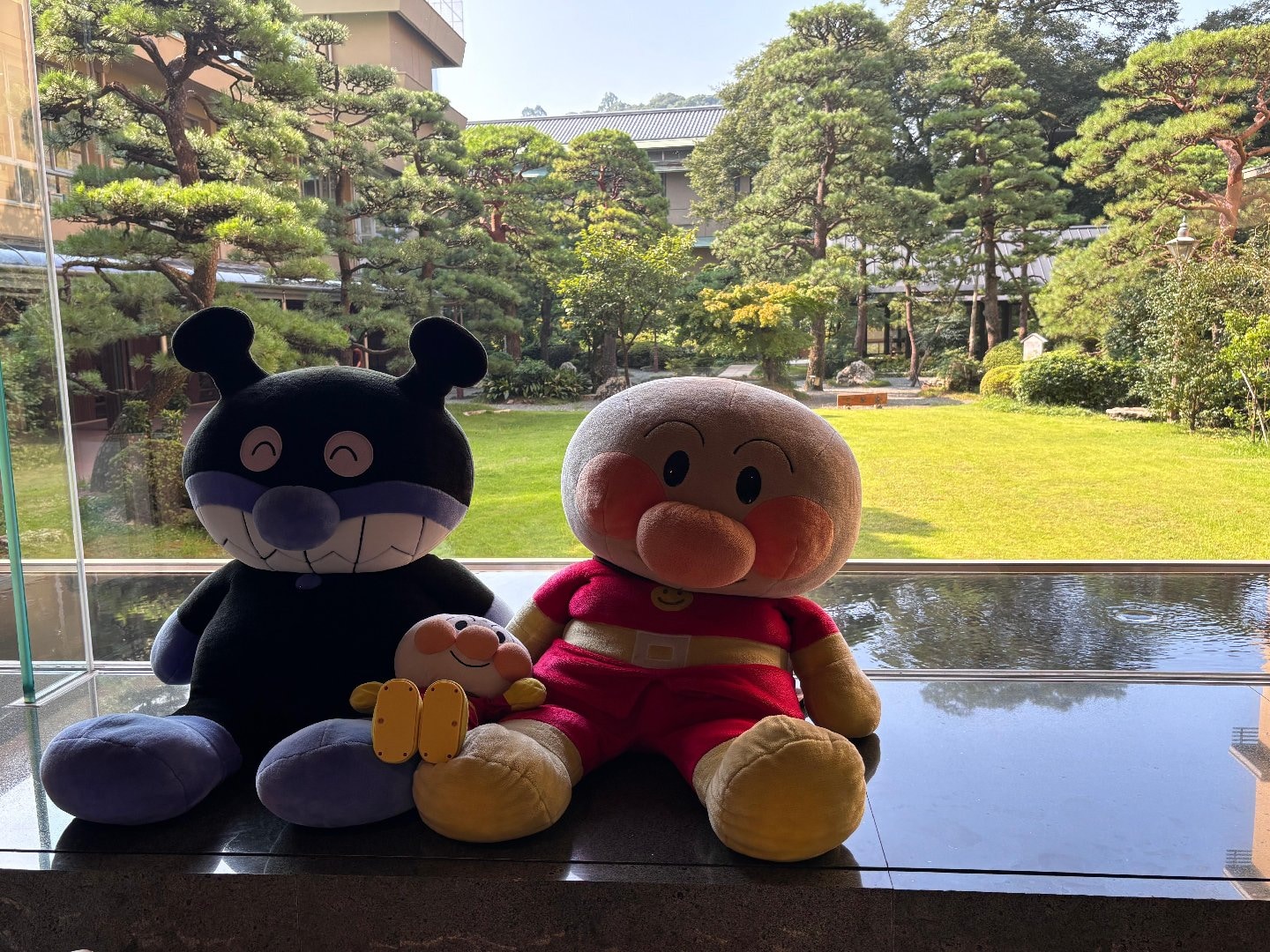 IMG_8758.jpeg