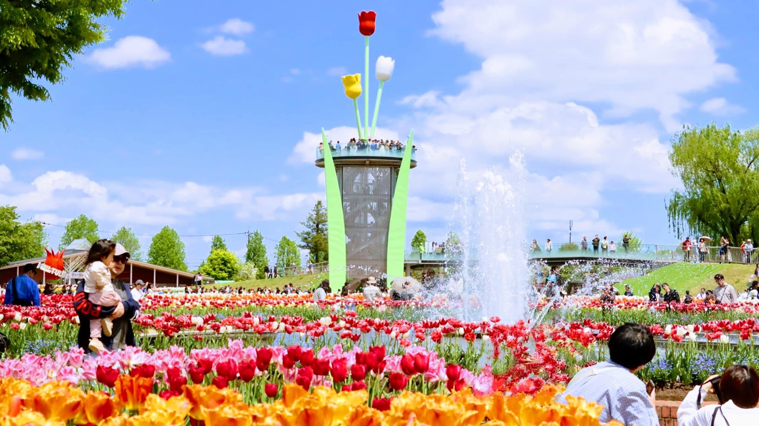 となみチューリップフェア（毎年4月下旬から5月5日まで開催）【画像提供：砺波市】