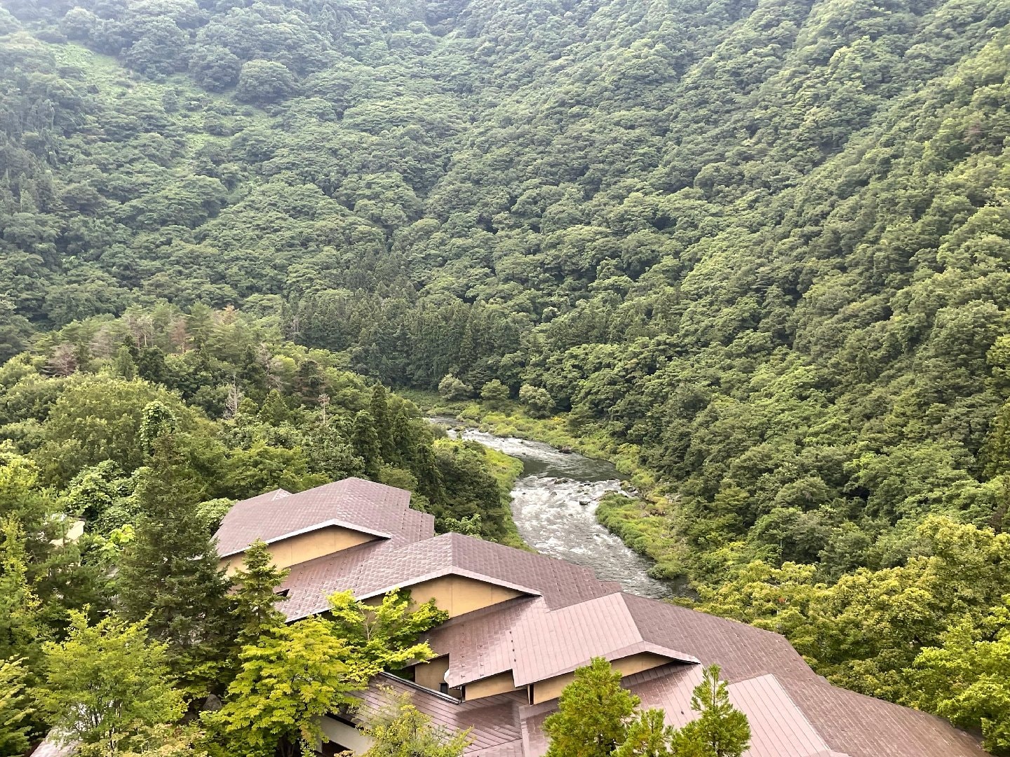 D5CA0509-1033-4FAD-9592-F276E8710425.jpeg