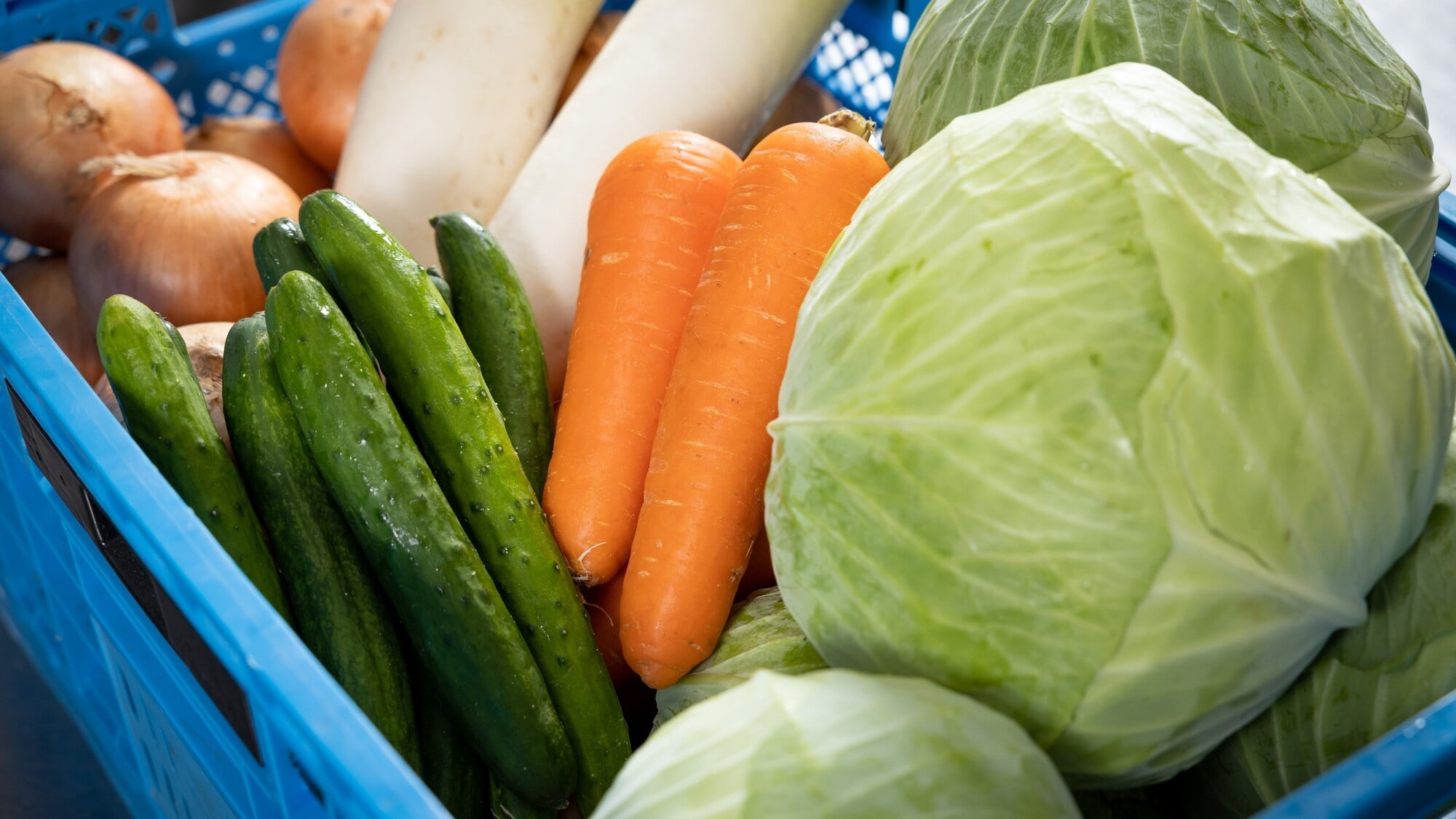 Fresh vegetables grown in-house