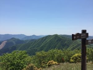 Walk along the World Heritage Site, Kumano Kodo Kohechi
