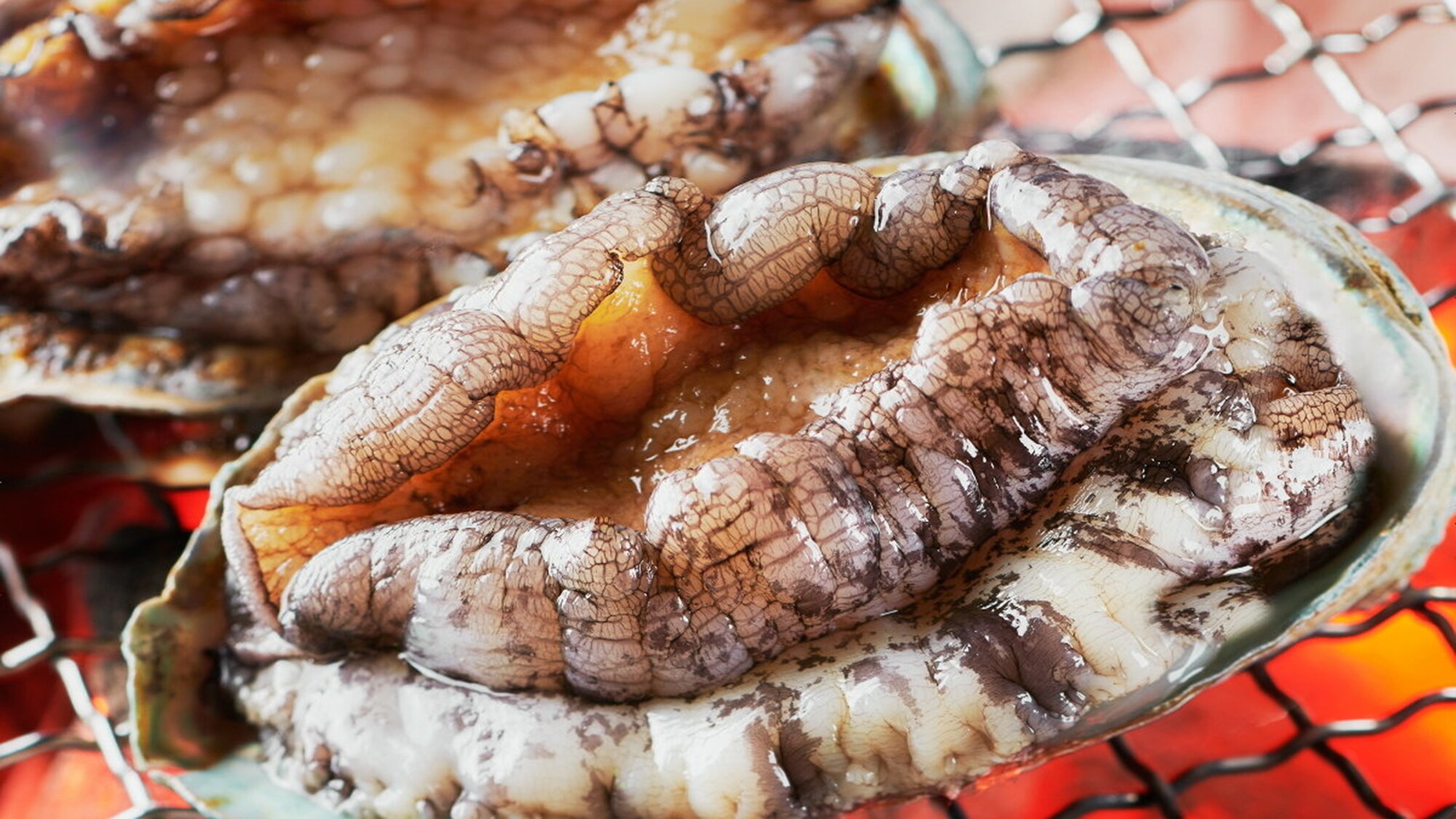 我們提供南伊豆養殖的最高品質鮑魚，採用「舞動燒烤」方式烹製，讓您可以盡情享受新鮮的美味。