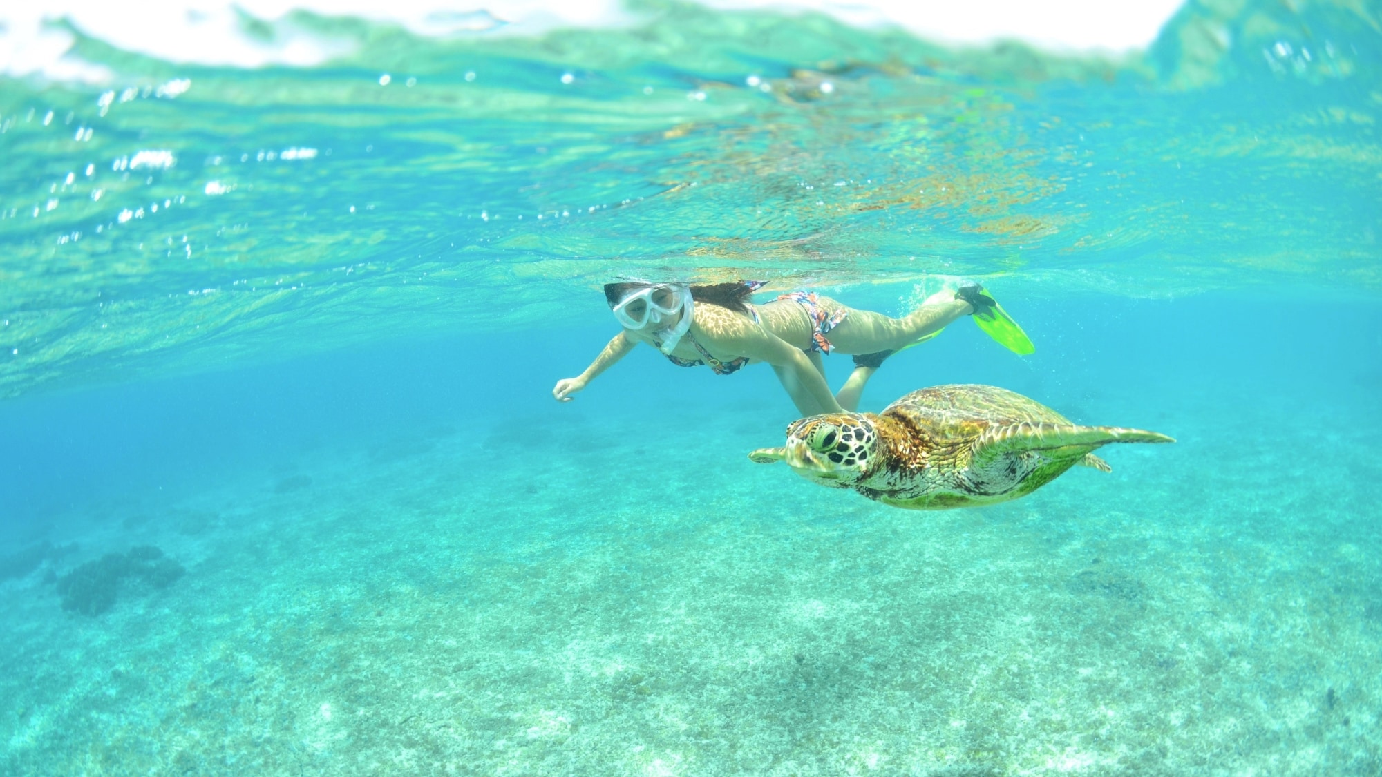 [A moving snorkeling experience] When you look out into the sea, it looks just like Ryugu-jo Castle.