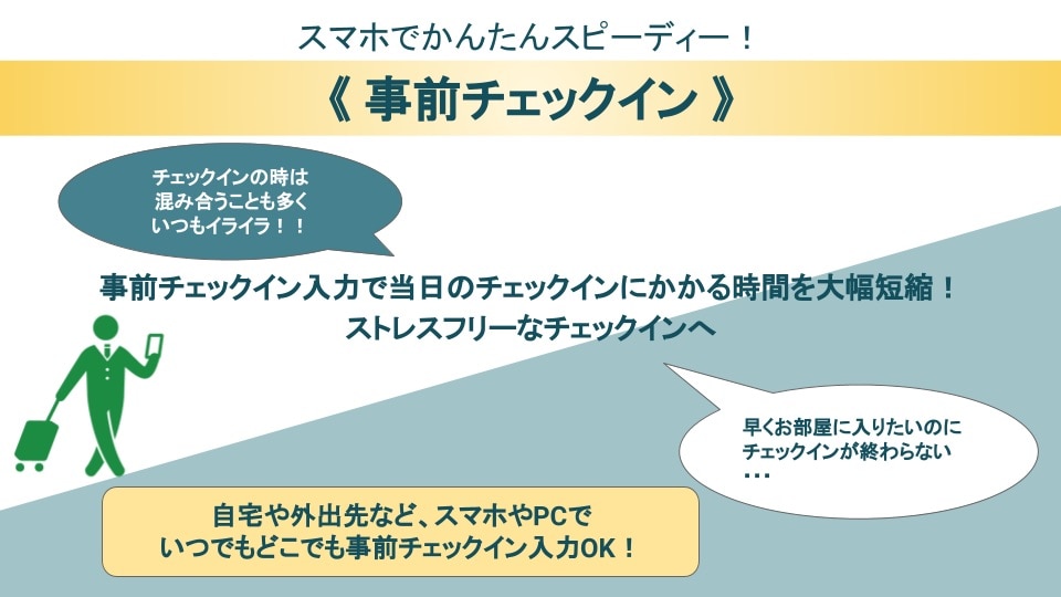 Advance check-in information (1)