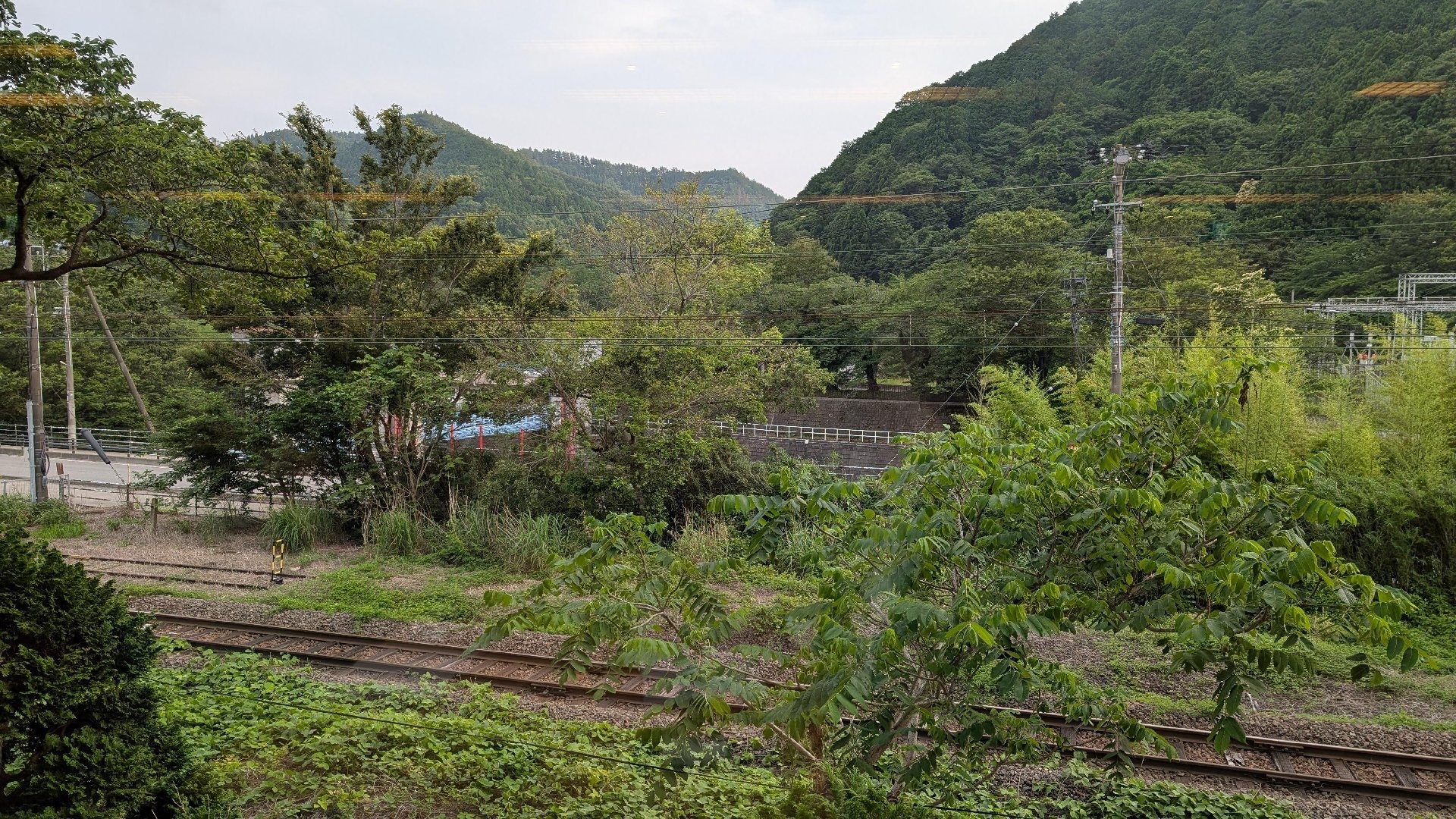 PXL_20260704_084739695.jpg