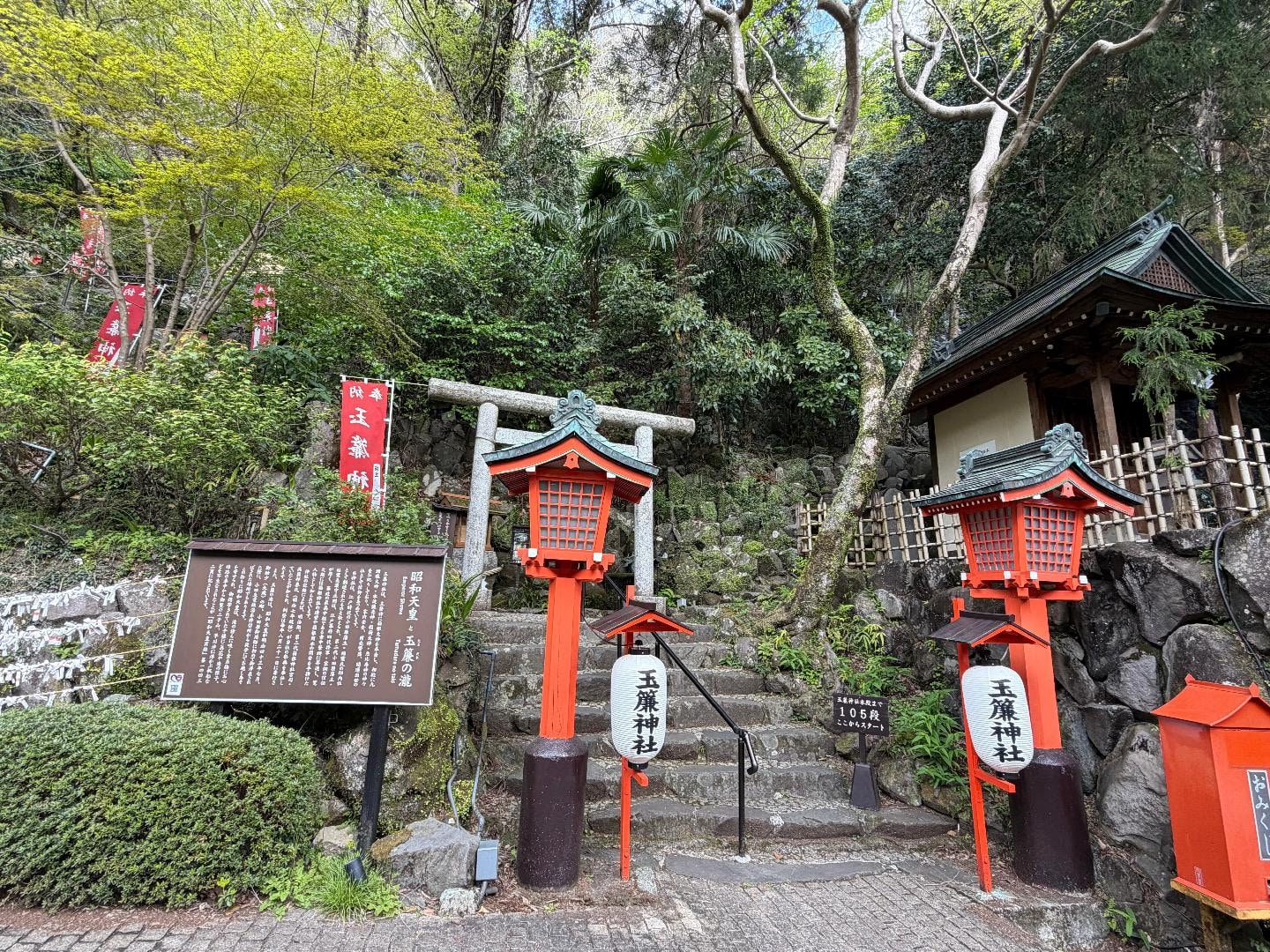 IMG_1042.jpeg