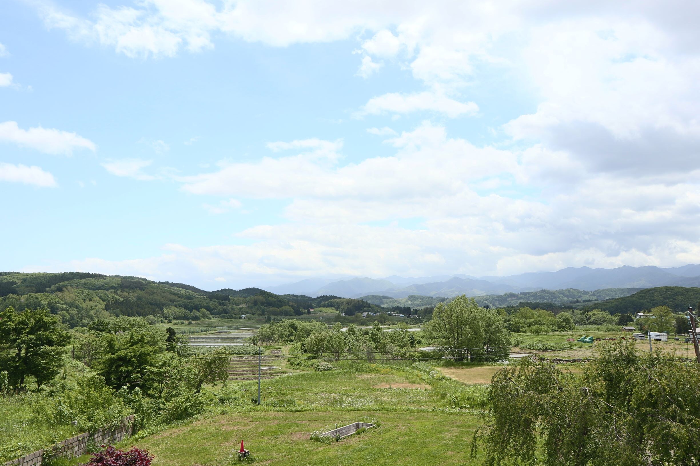 View from the room