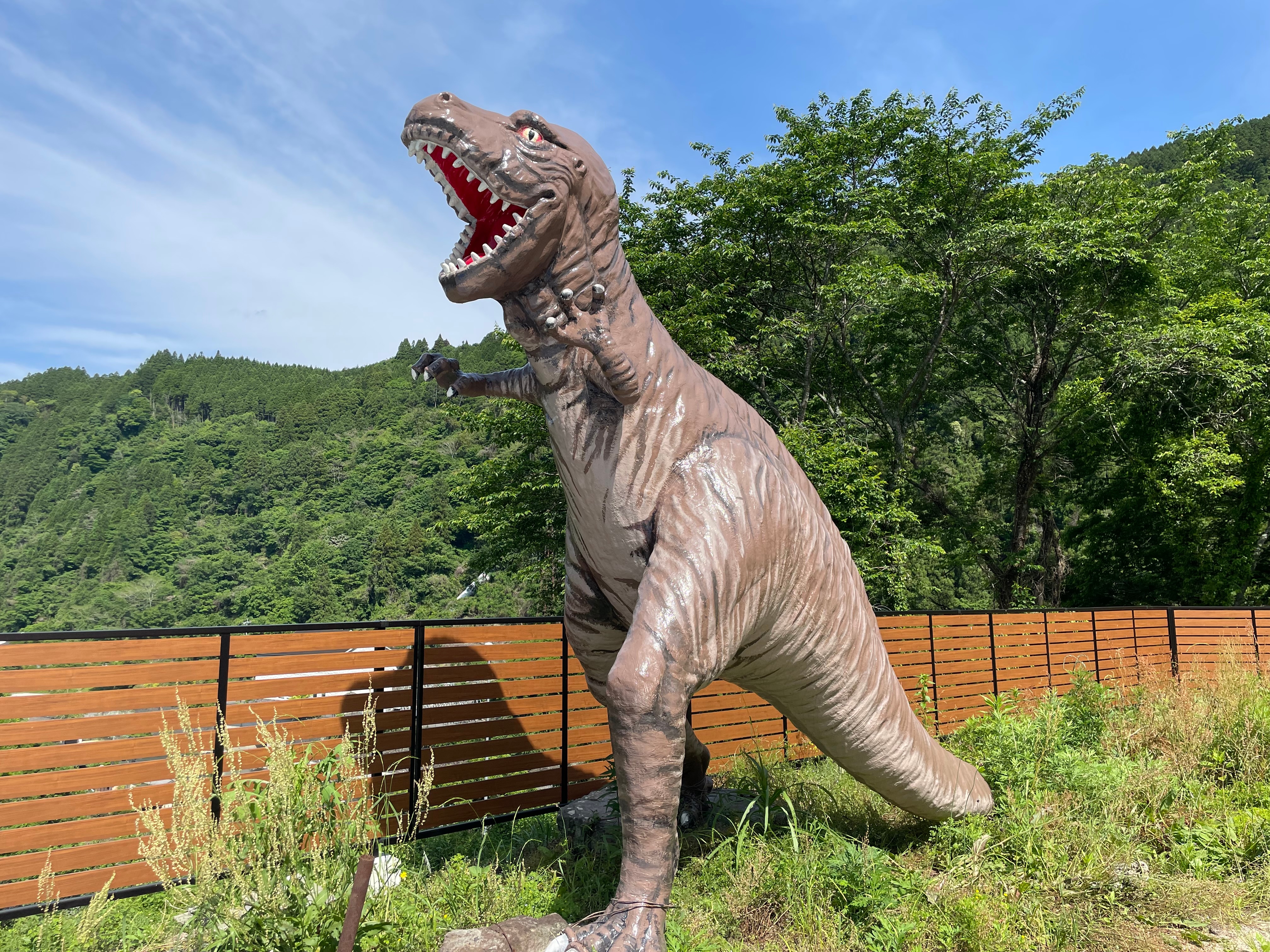 dinosaur
