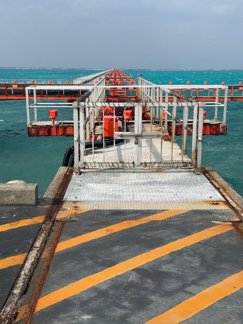 写真 2025-11-25 14 56 52.jpg