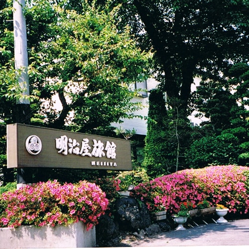 Appearance image