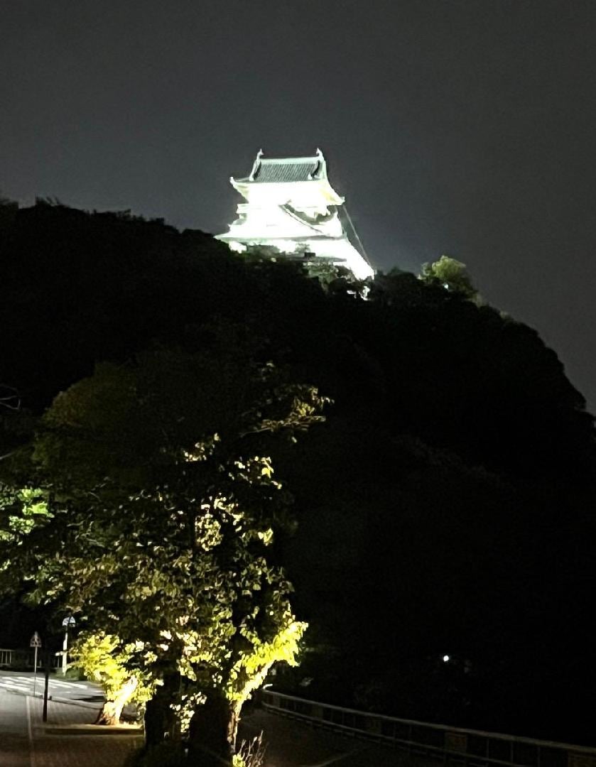IMG_0110.jpeg