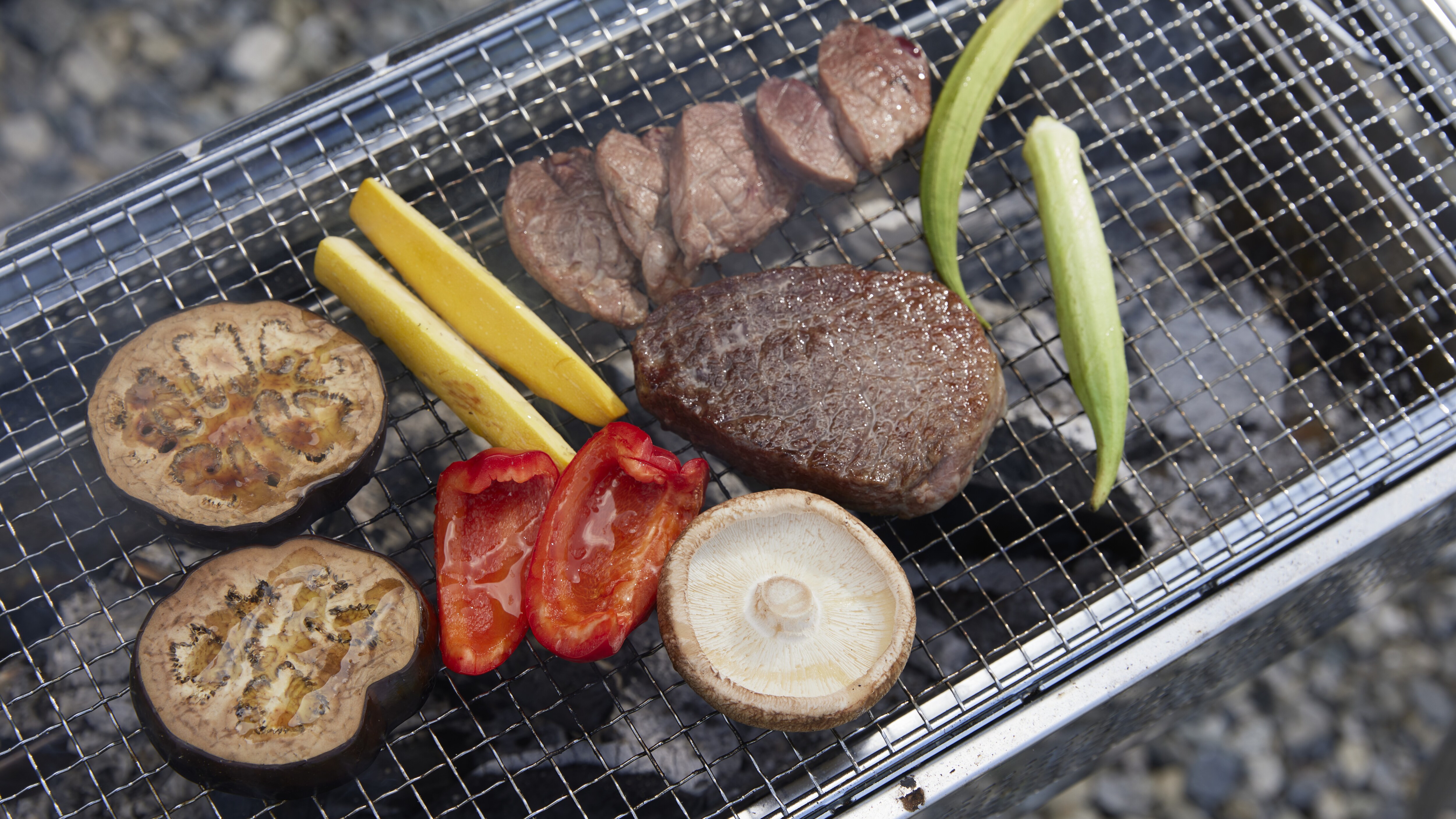 Dinner (BBQ)