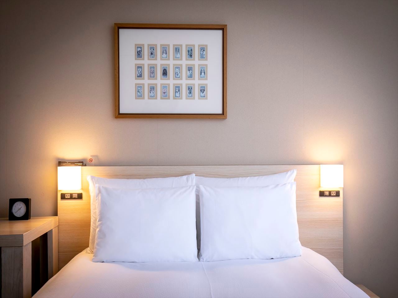 Superior 24㎡ (double bed)