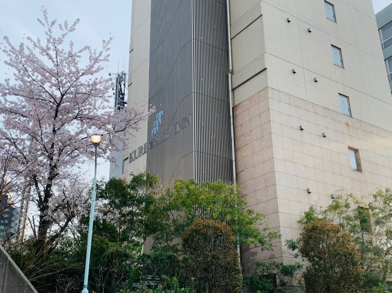 Appearance of the hotel (cherry blossom)