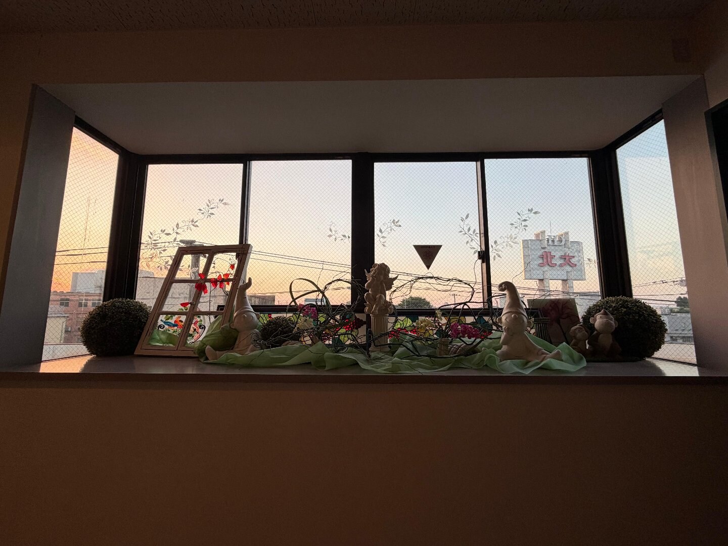IMG_5773.jpeg