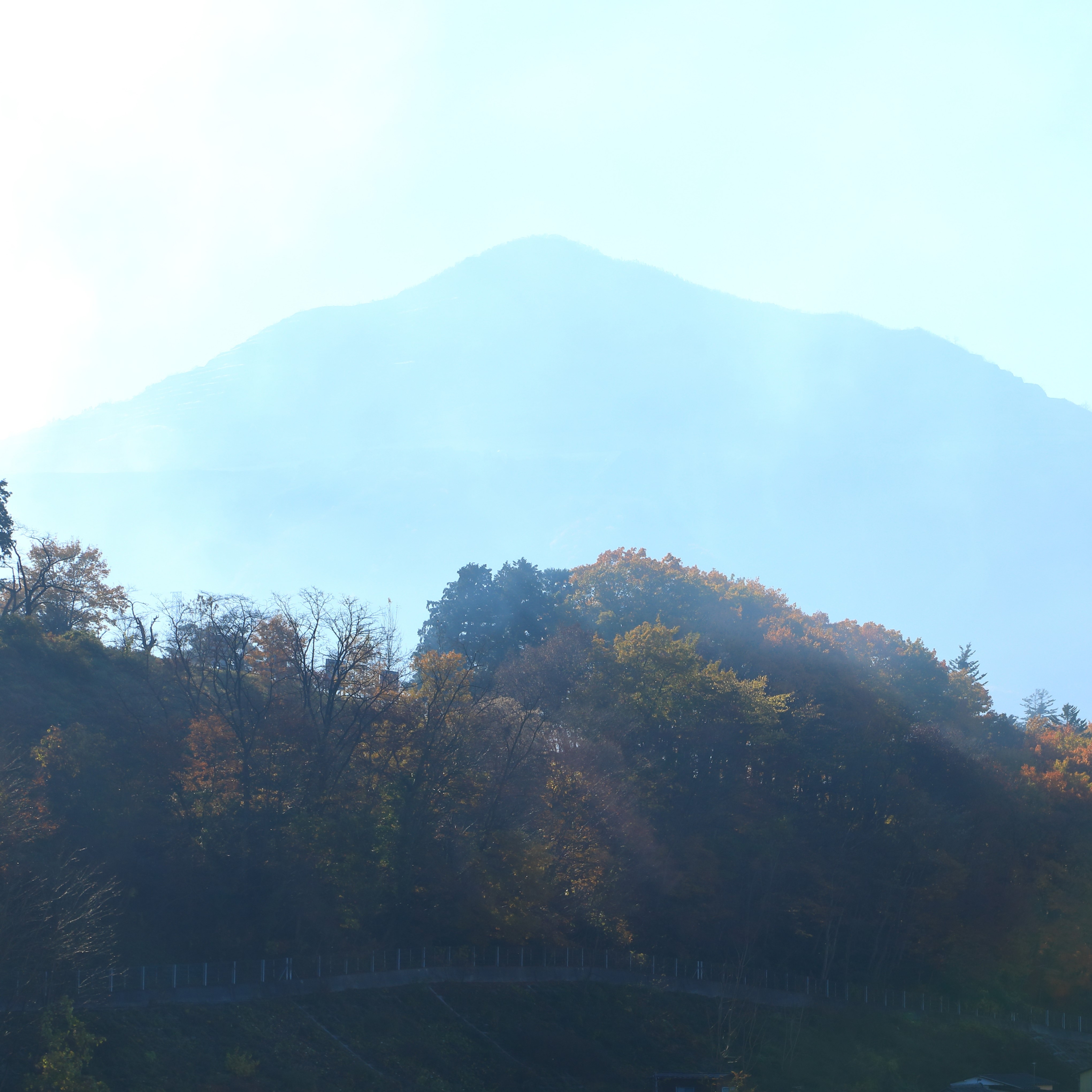 從酒店看到的風景