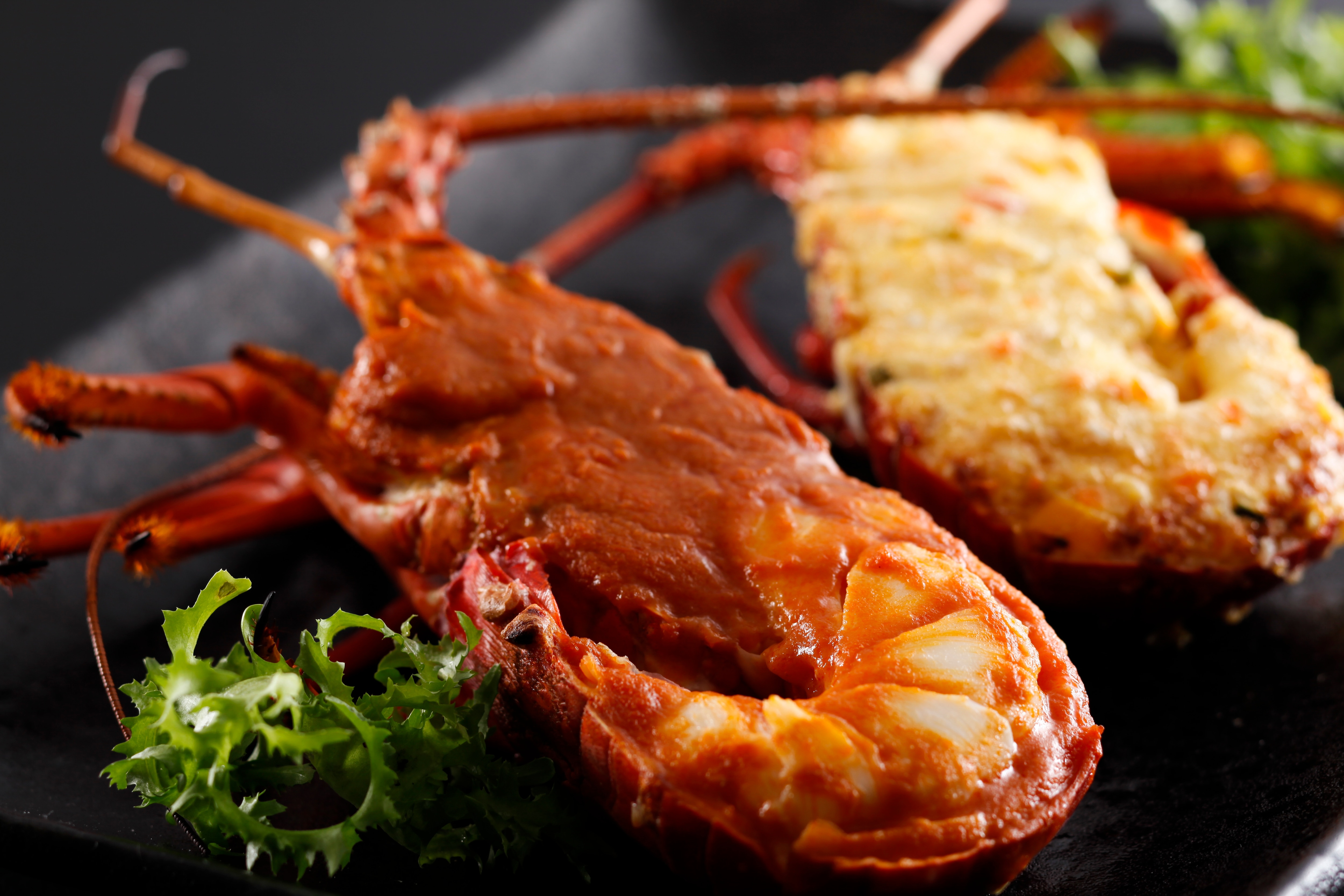 spiny lobster