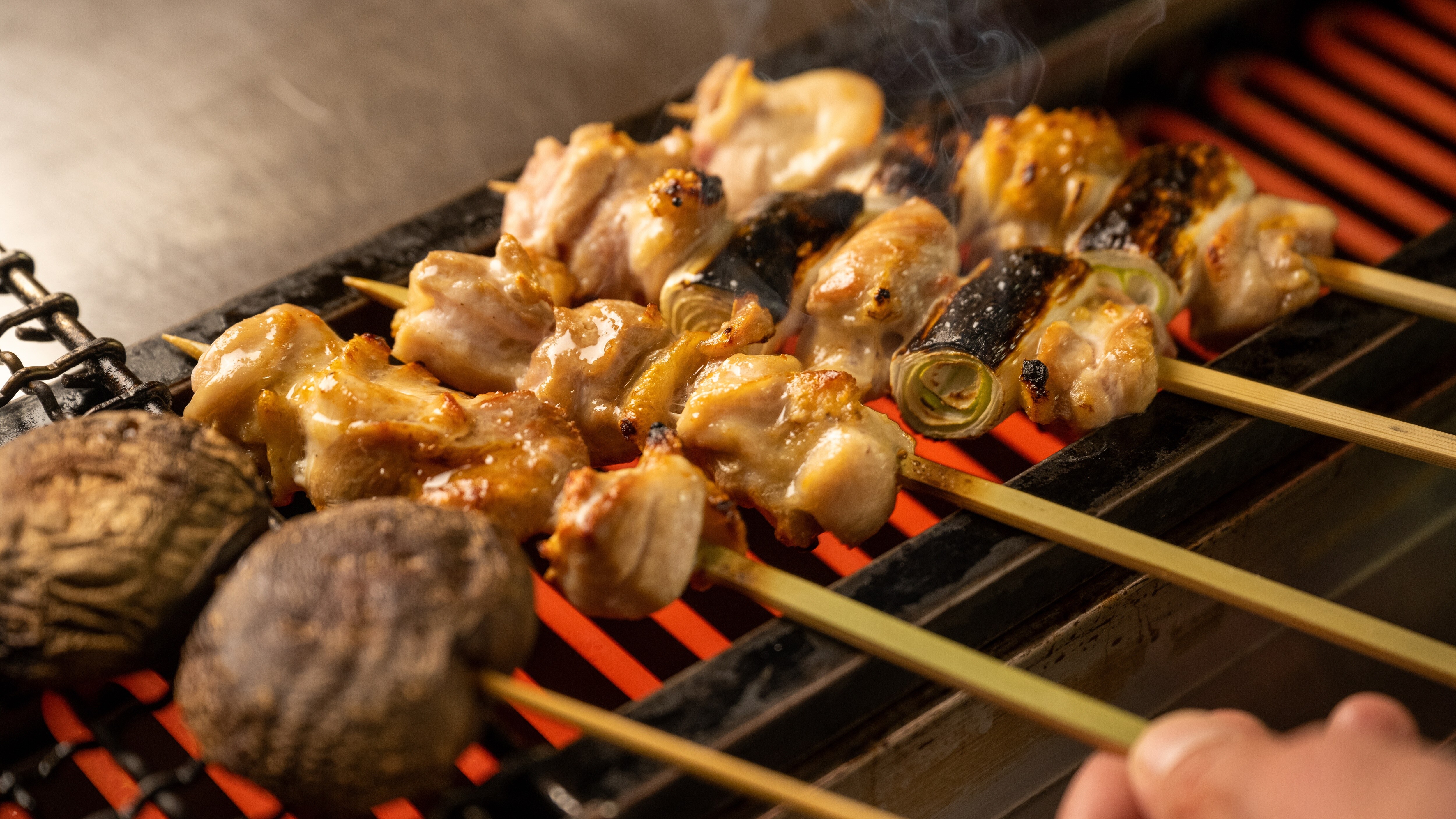 [晚餐示例]“五櫻料理”我們還有各種適合飲用清酒的烤雞肉串。