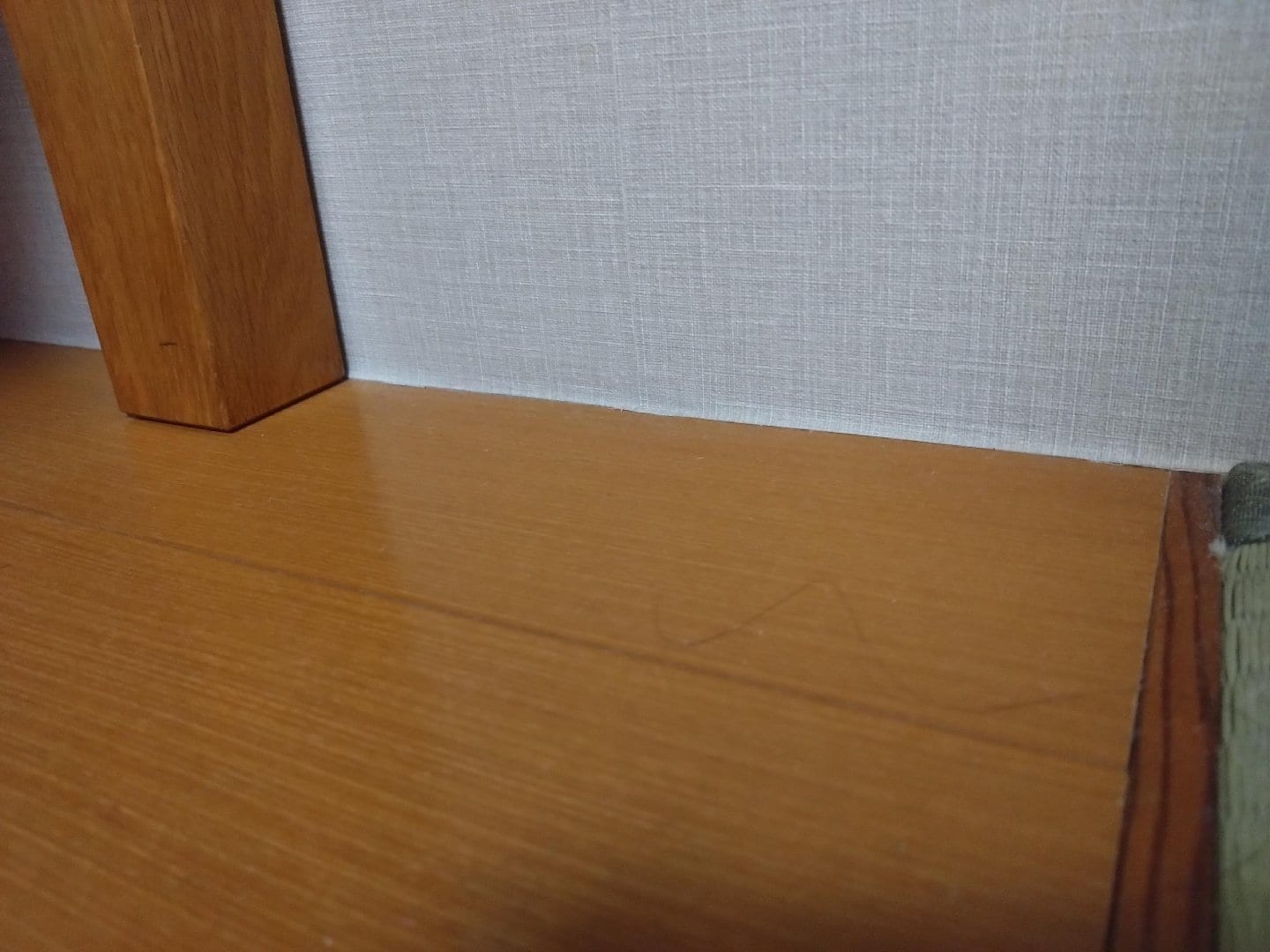 1000024042.jpg