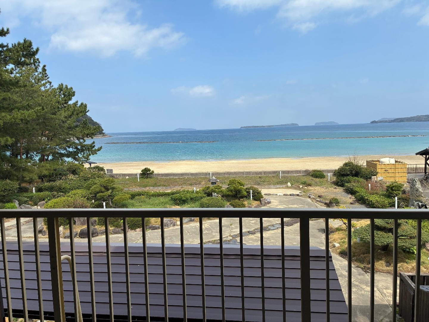 D366CF09-A747-4256-8677-AFA5783FFCC7.jpeg