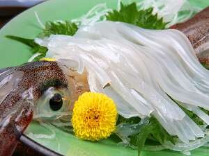 Live squid sashimi