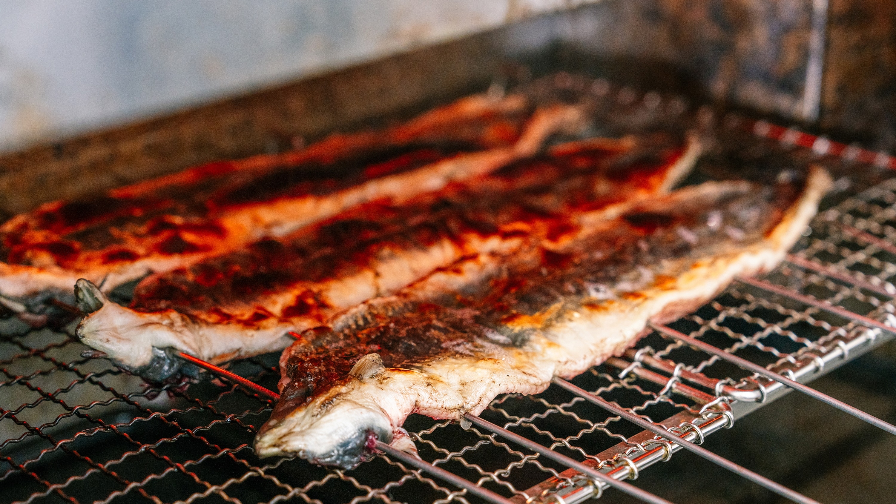 *【鰻魚的純純】我們的風格是先烤新鮮的鰻魚！