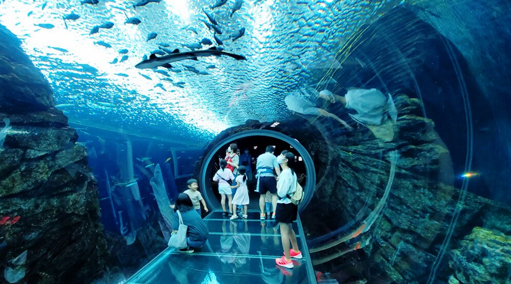 60 minutes by car Joetsu Aquarium Umigatari [Umigatari Tube]