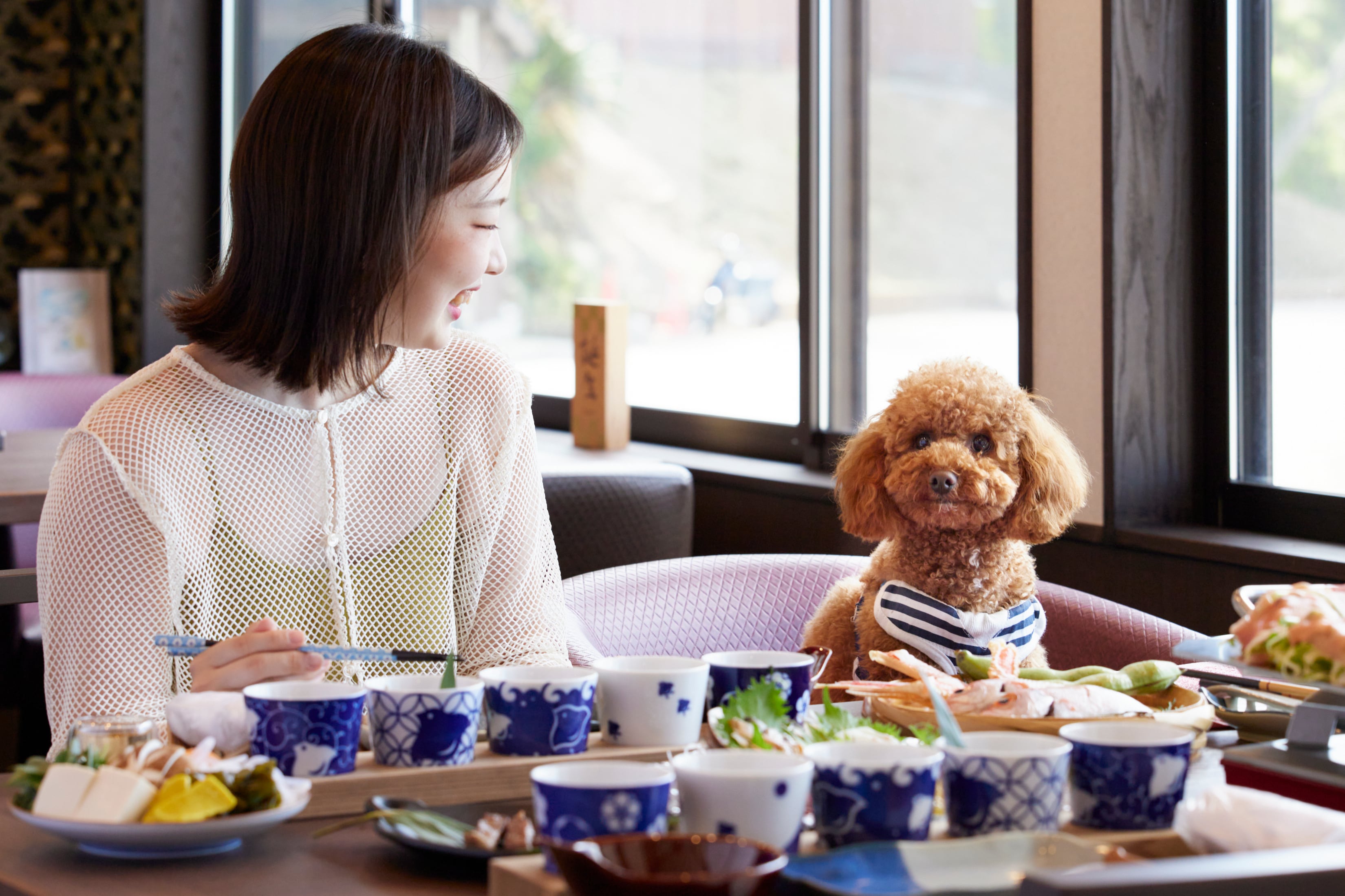 Bangunan terpisah [WAN no Oto tempat Anda dapat tinggal bersama anjing Anda] Makanlah bersama anjing Anda!