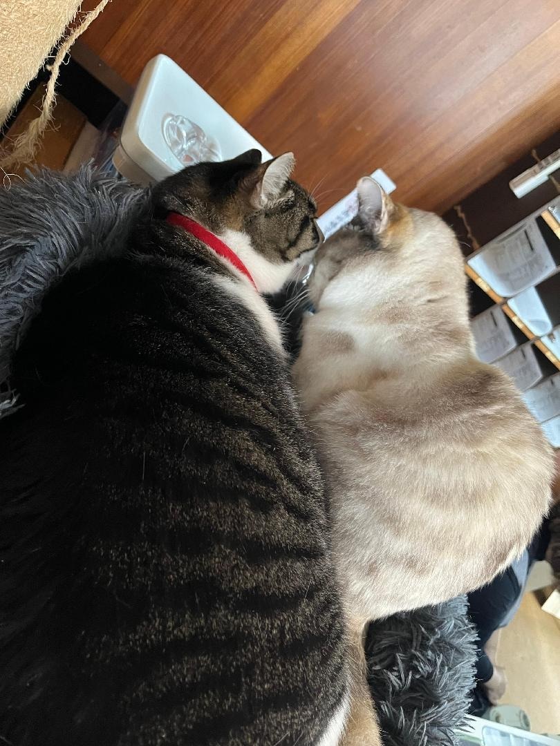 IMG_9759.jpeg