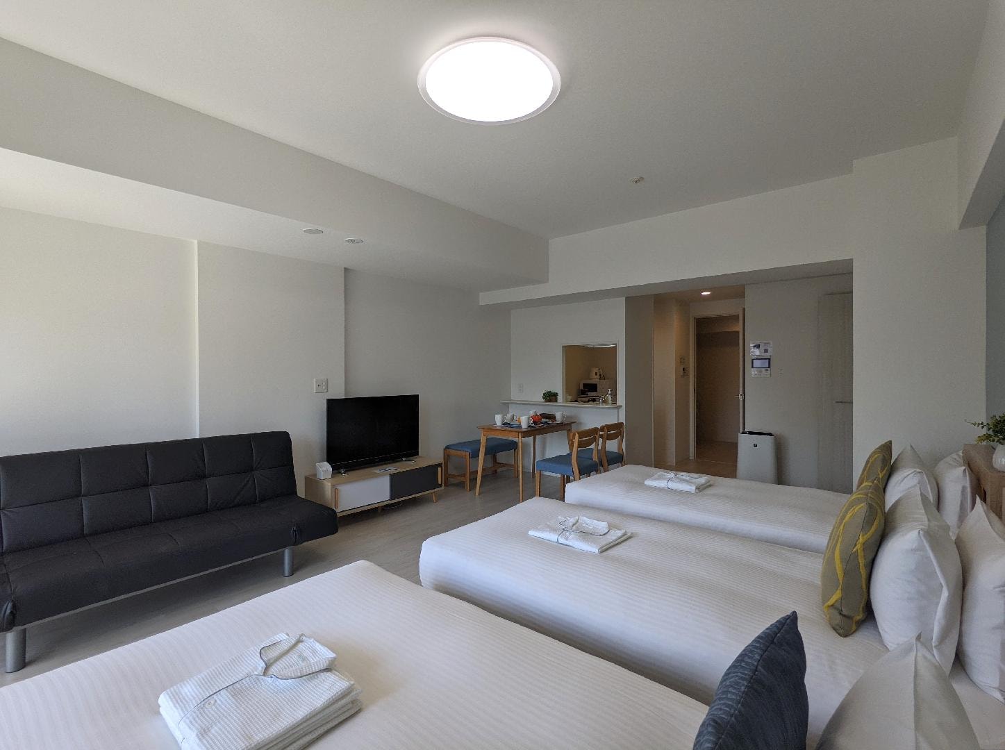 1 double bed, 2 single beds, 1 sofa bed/43~46 sq.m.