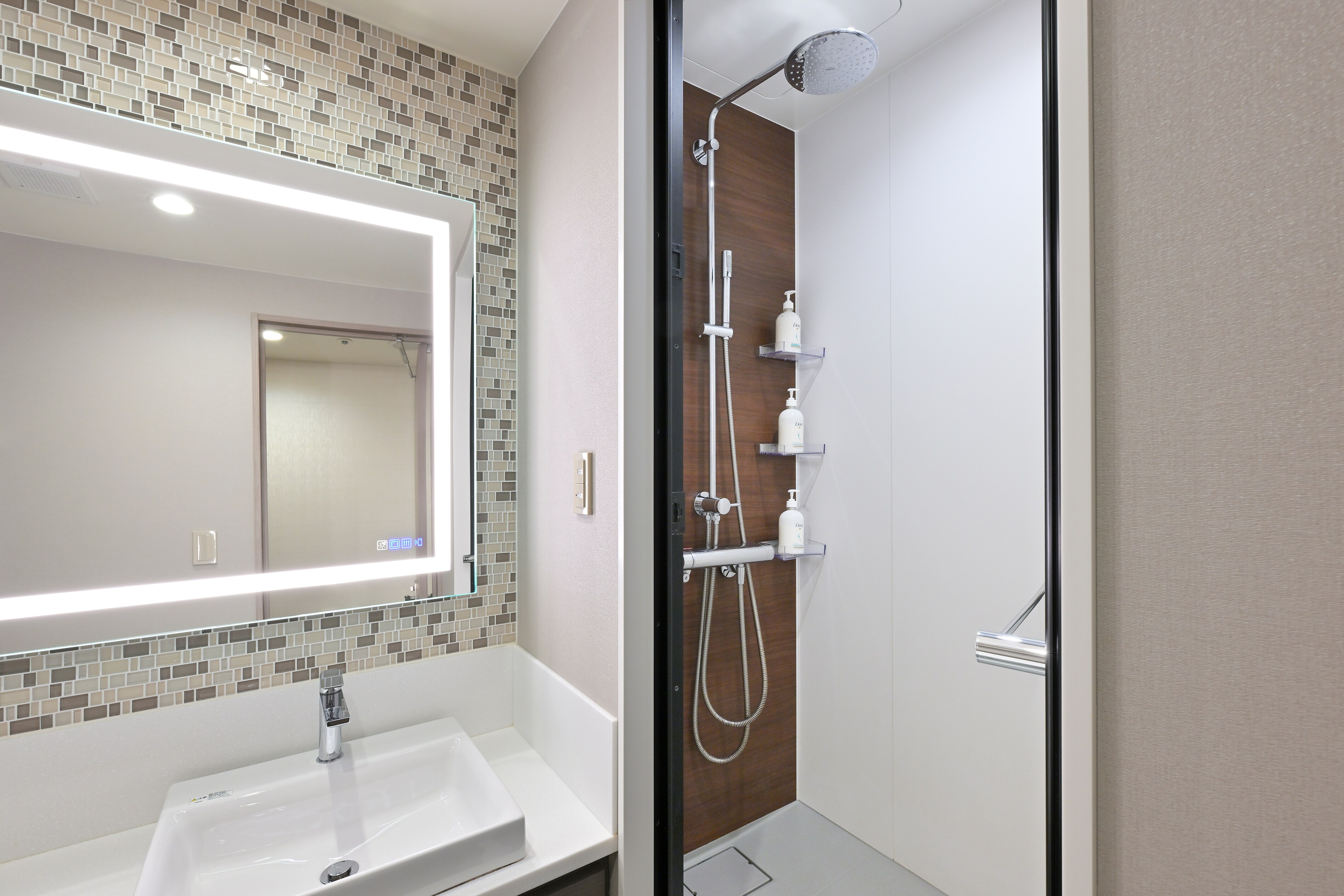 Standard type: sink and rain shower