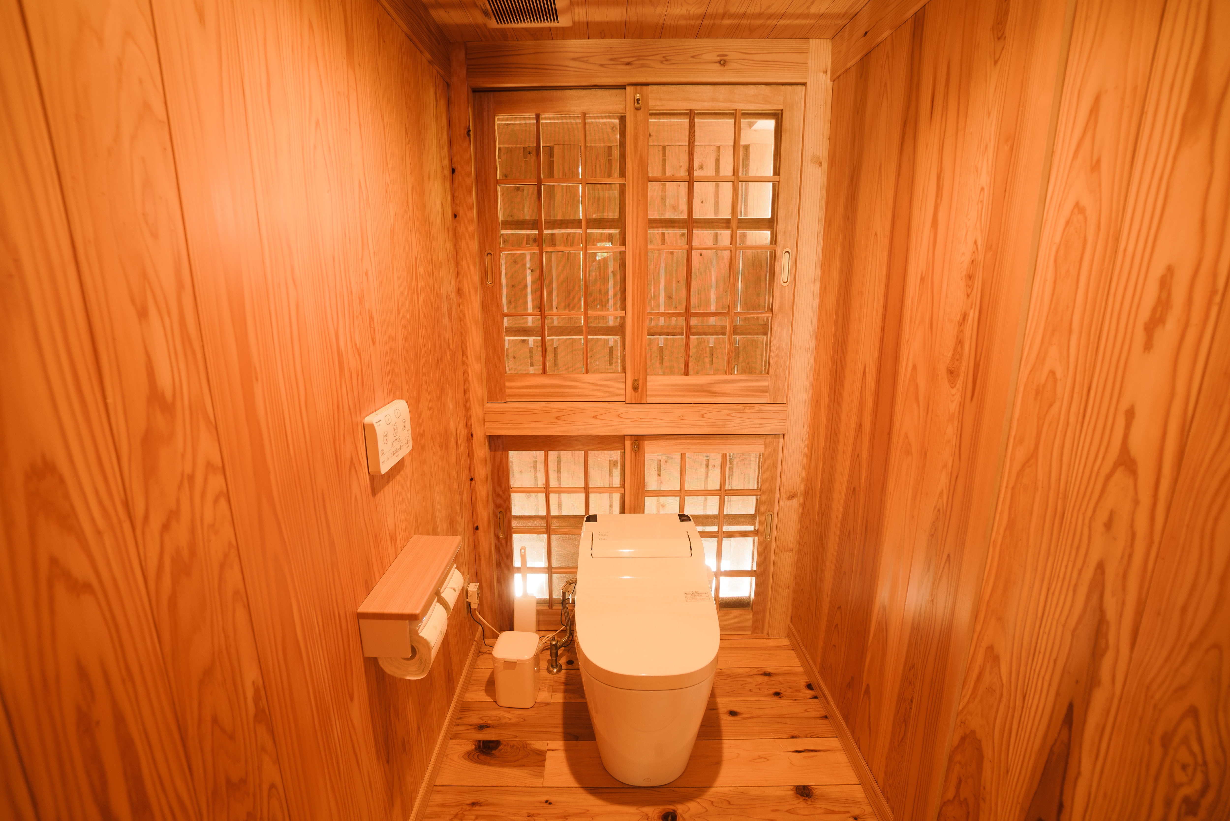 Pineya Toilet