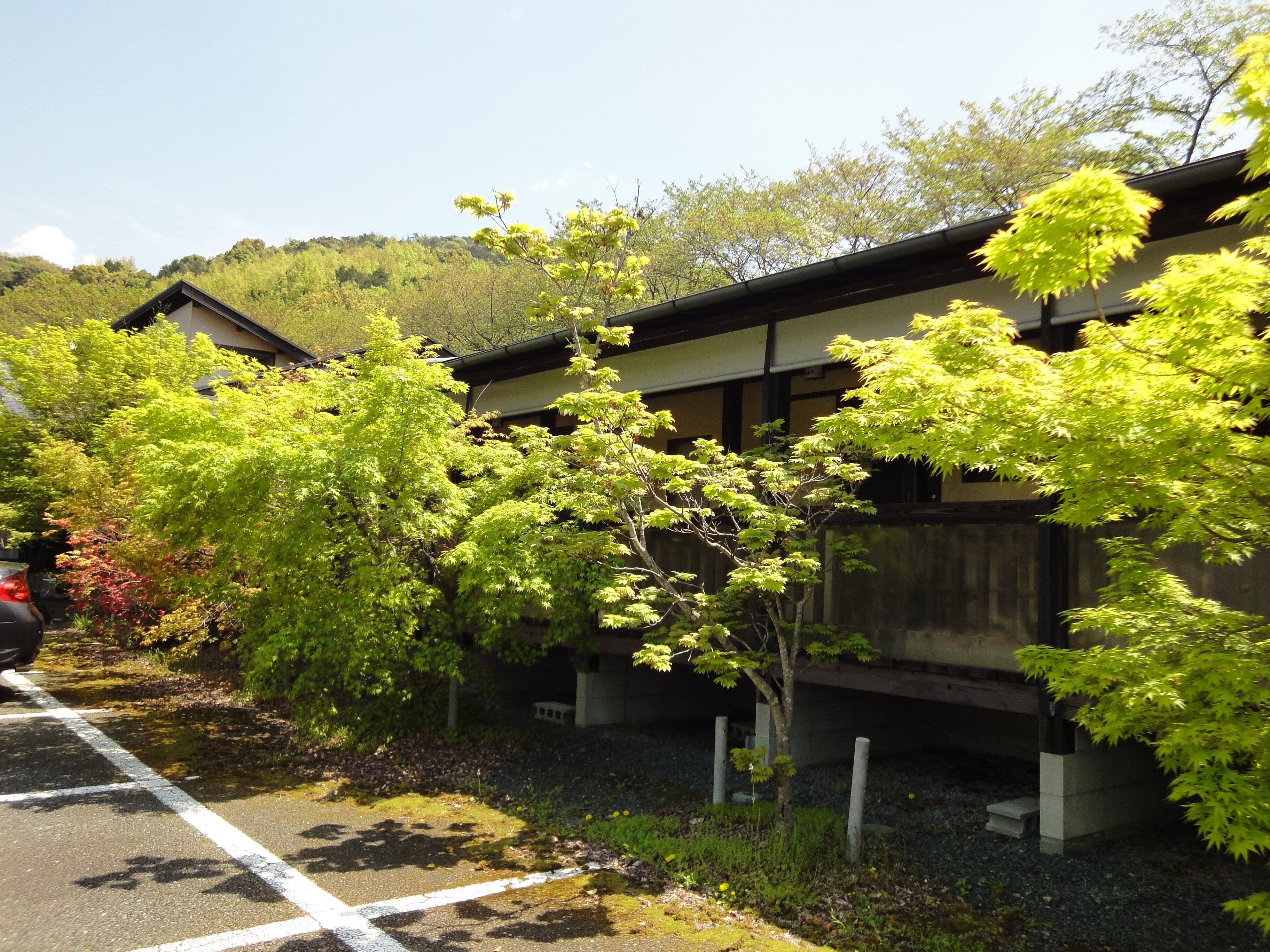 The area around the ryokan is surrounded by fresh green autumn leaves