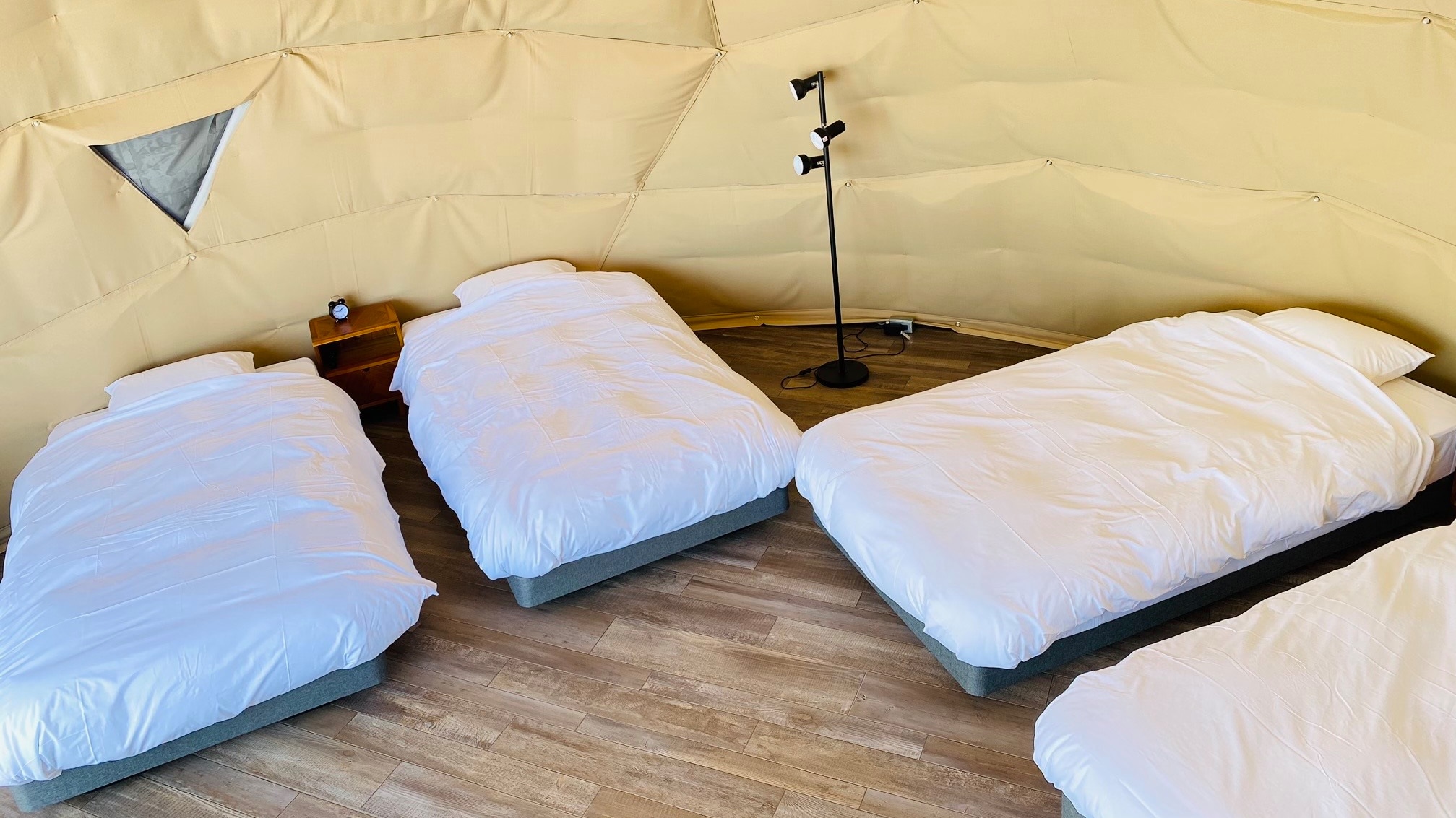 [Guest Room] Luxury Dome