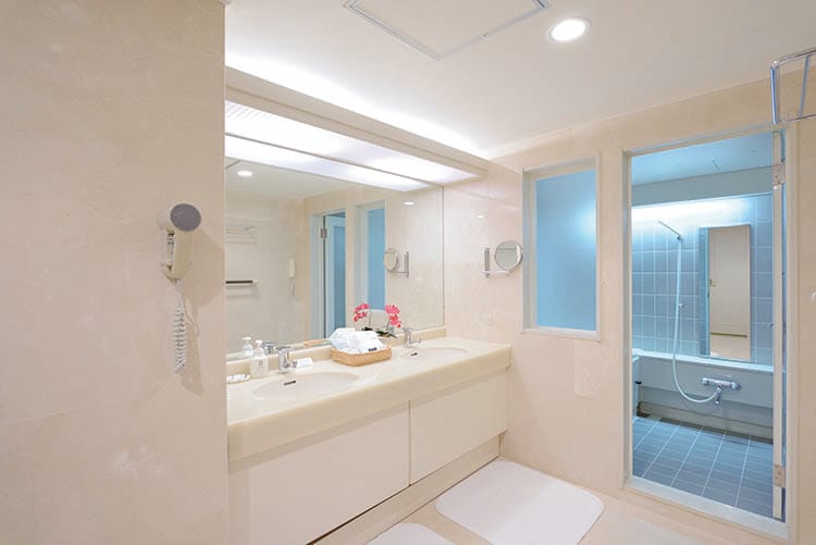 Suite bathroom