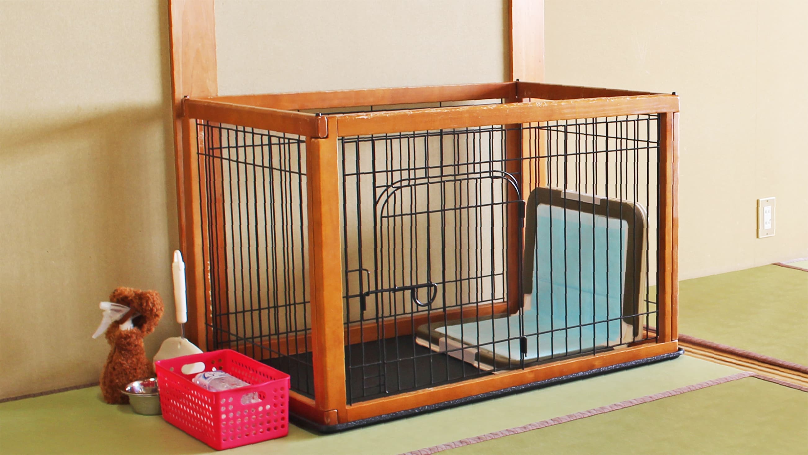Kamar: Tetap bersama anjing Anda Pengukur kamar bergaya Jepang