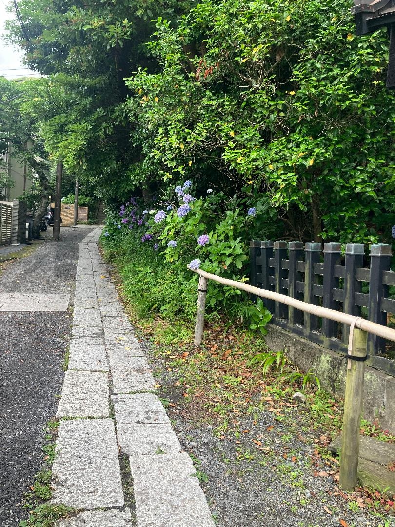 IMG_0900.jpeg