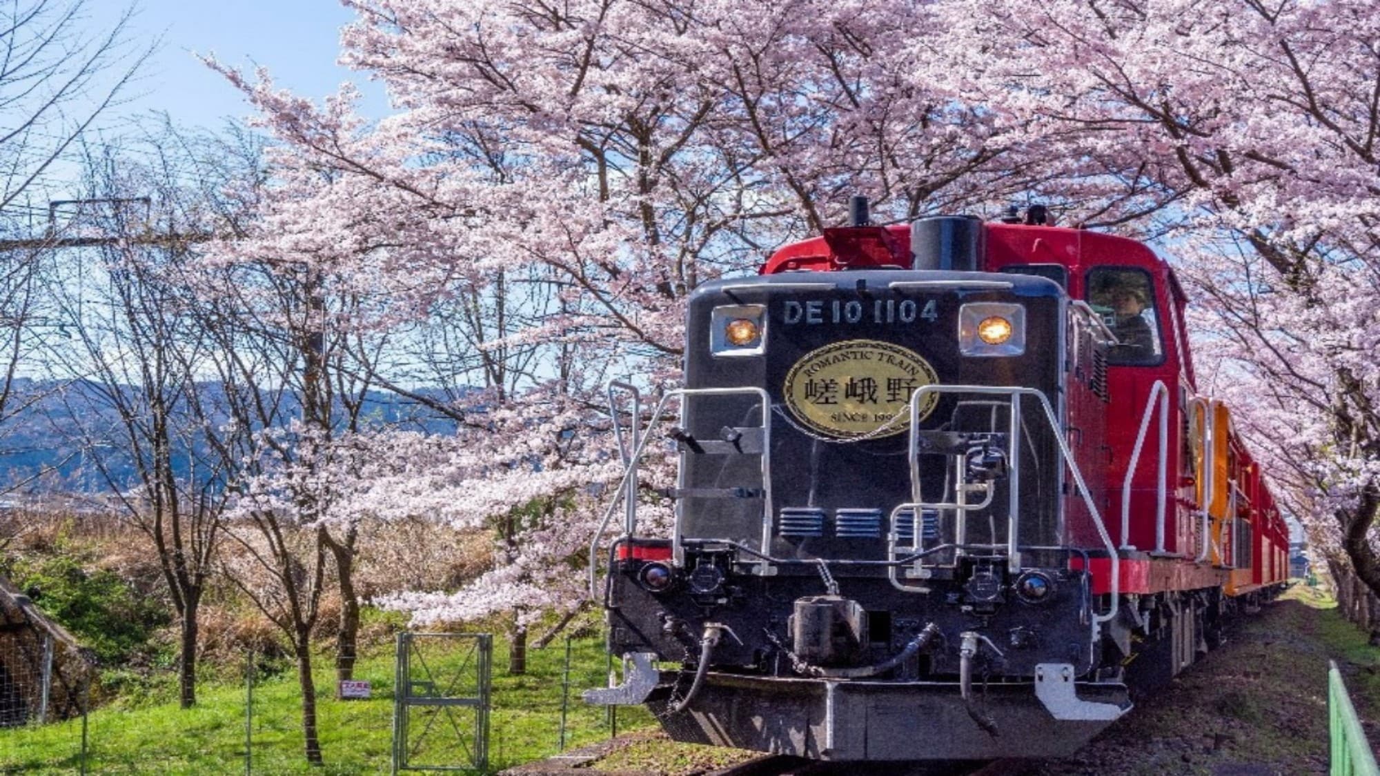 ◆ Sagano Scenic Train (Spring)