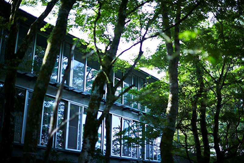 Superior [Hollywood Twin] 27 sqm Accommodation building Exterior: Inside Fuji Hakone Izu National Park where untouched nature remains