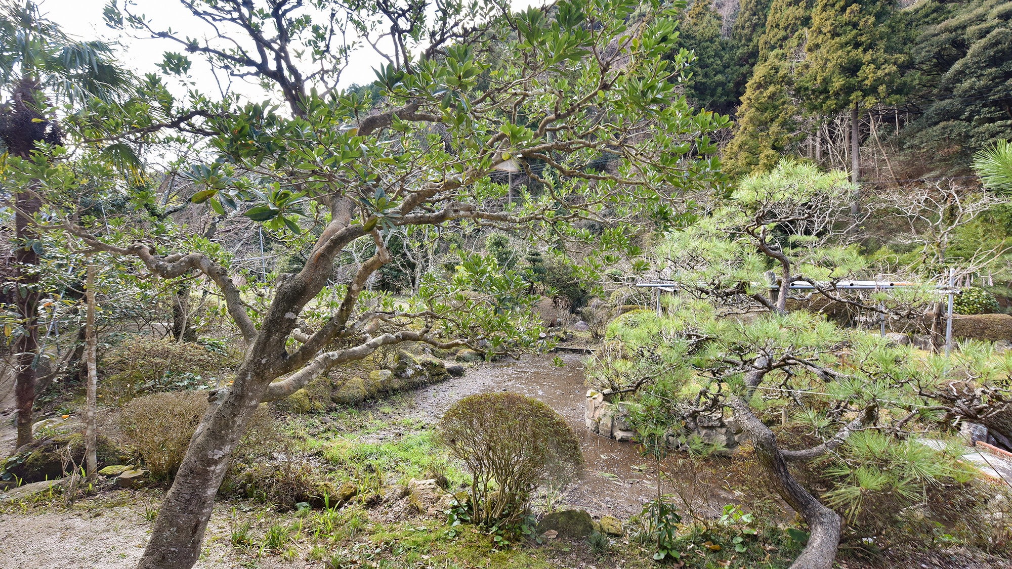 *View from the 8 tatami Japanese-style room (with toilet and washbasin)♪