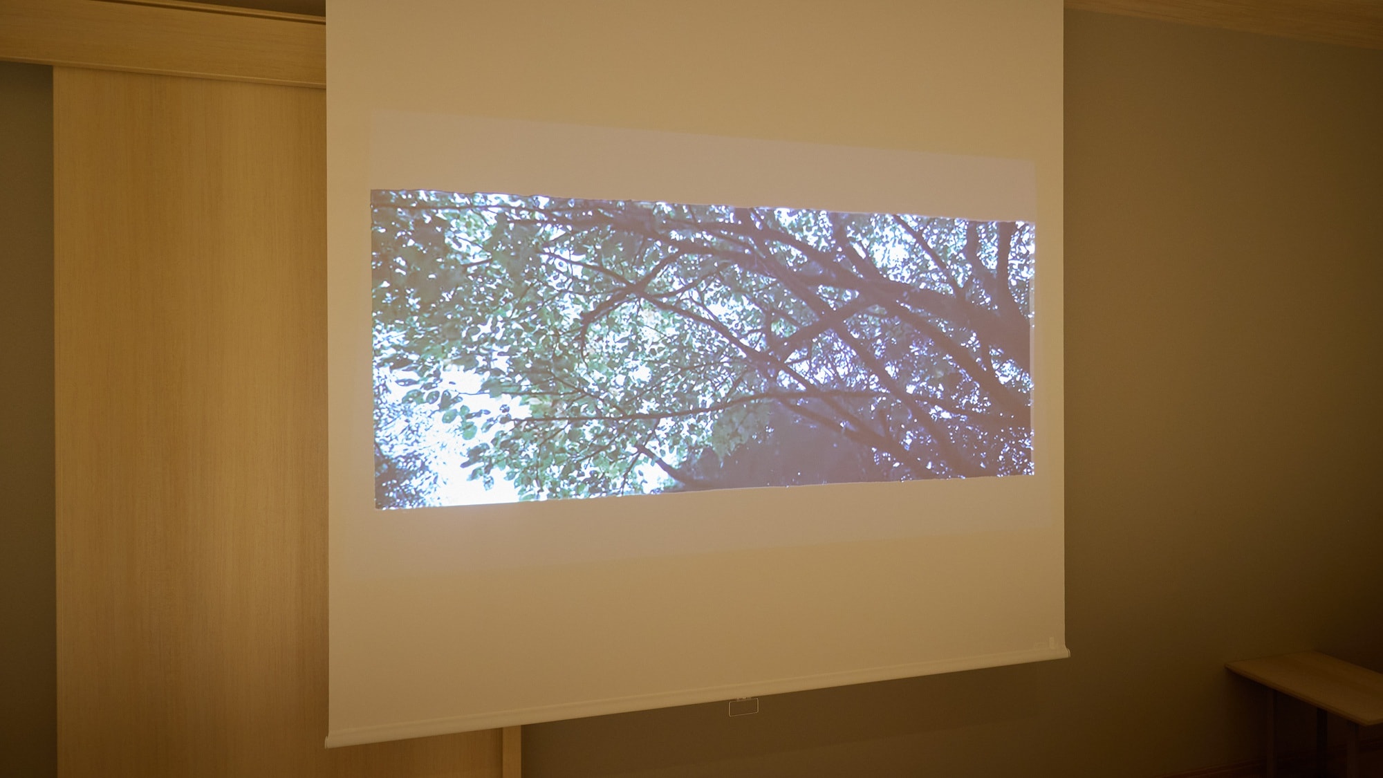 All rooms: Equipped with a screen and projector.