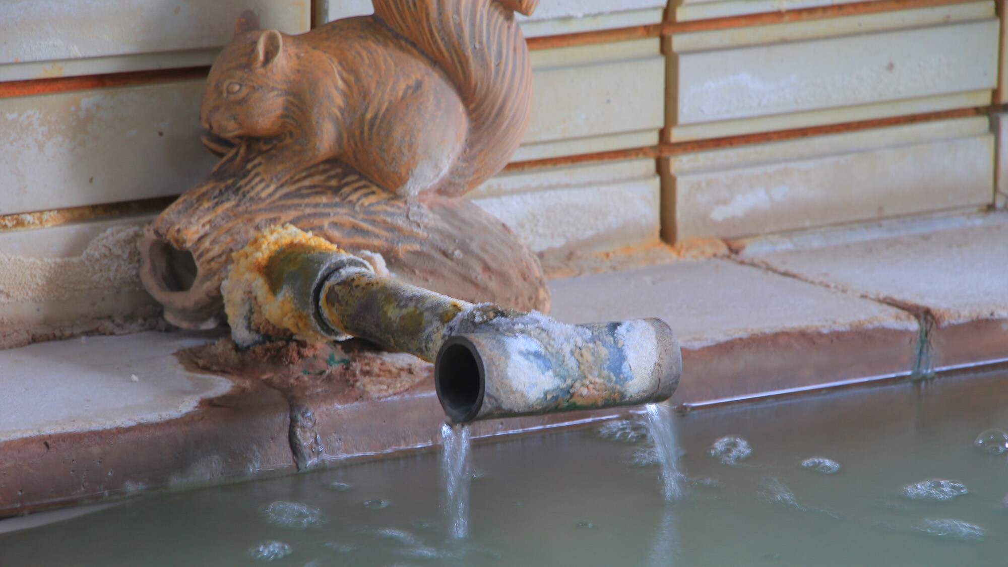[Large public bath/women's bath]
