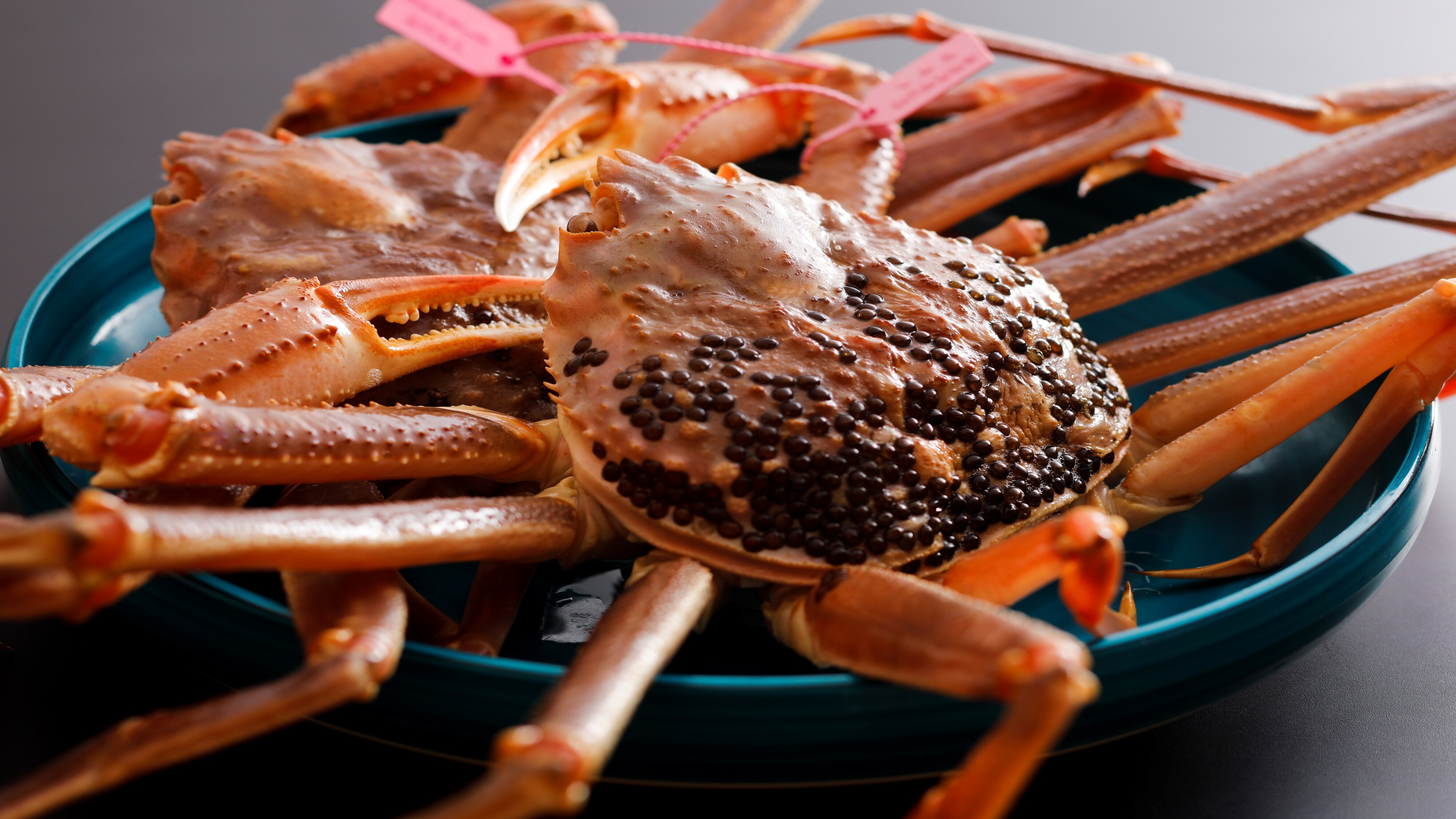 [ปูชิบายามะ] ราชาแห่งอาหารฤดูหนาว เพลิดเพลินกับปูมัตสึบะสดคุณภาพสูงได้ตามใจชอบ!