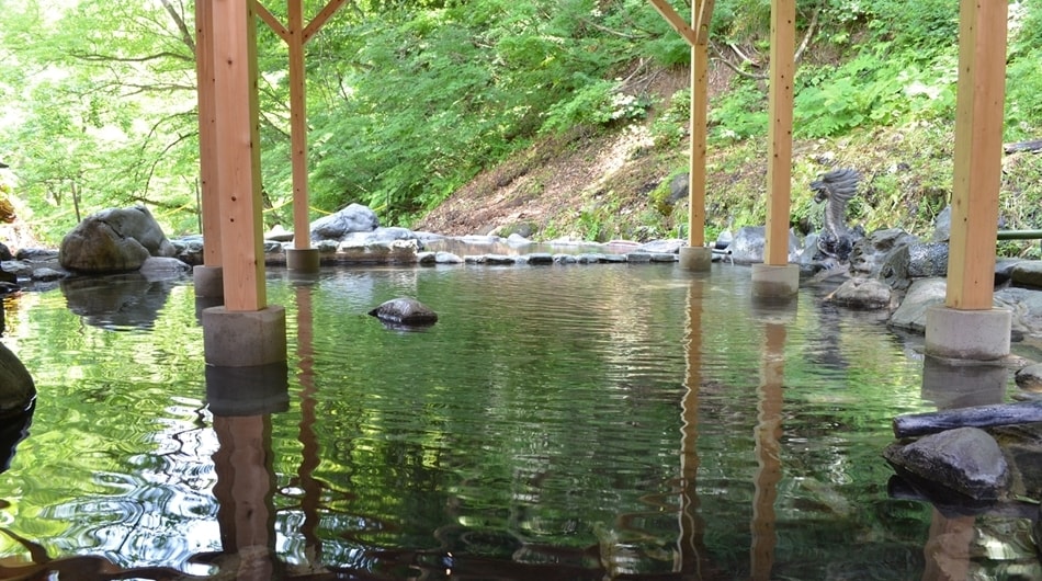 Dairyu/Shinryoku Wide