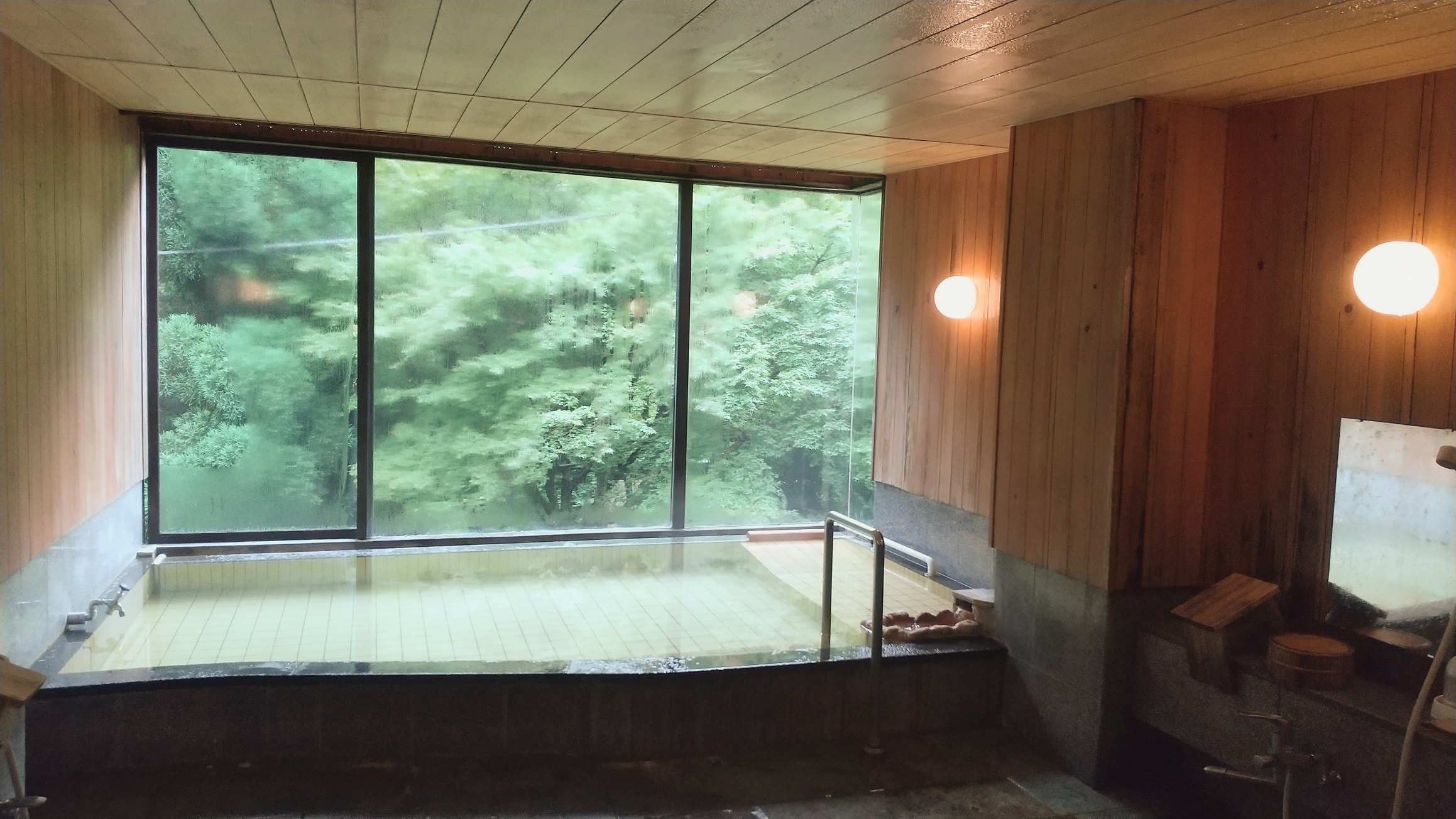 Large bath - Irodori