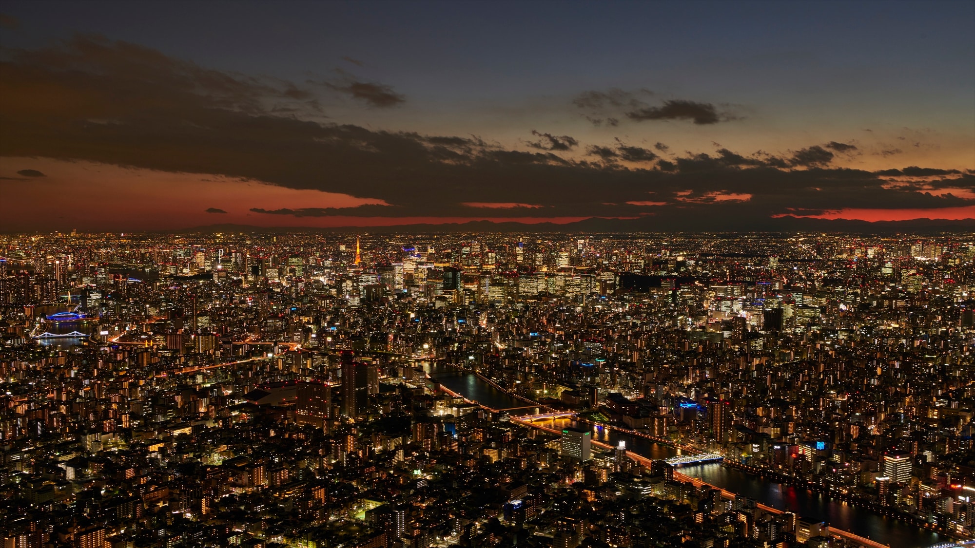 มุมมองจาก Tembo Galleria (กลางคืน)②