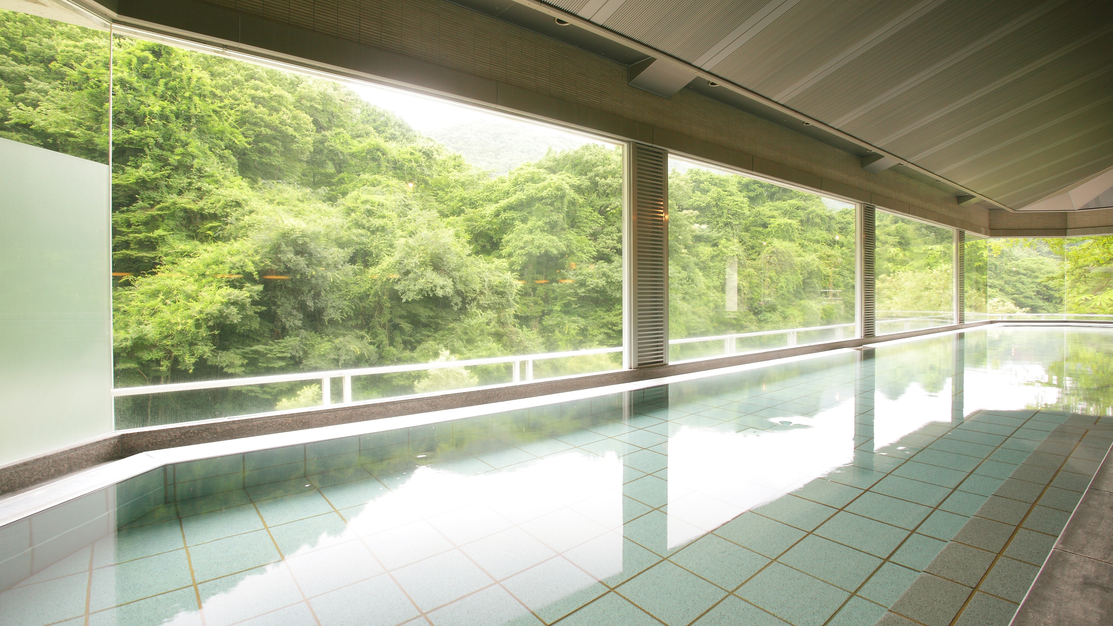 Large public bath "Tota no Yu"