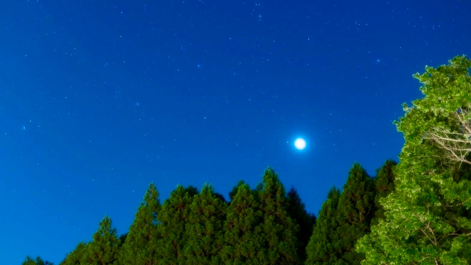 ทิวทัศน์ยามค่ำคืน